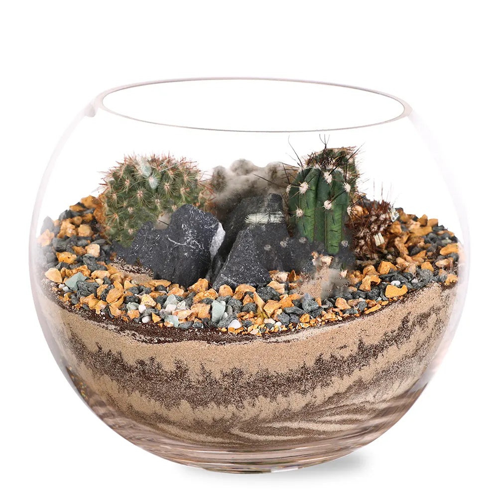 العصاريات في التيراريوم