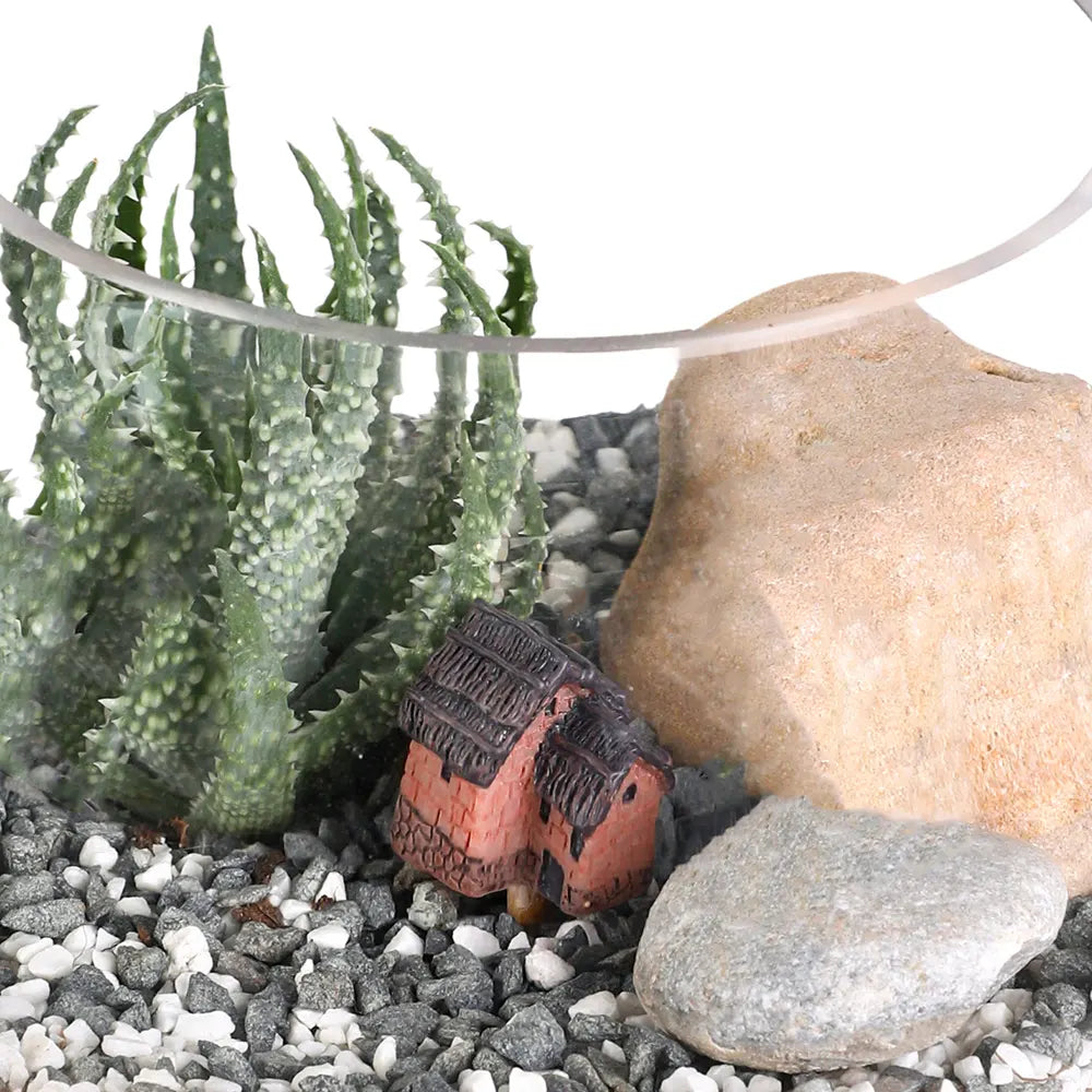 طقم هدية تراريوم