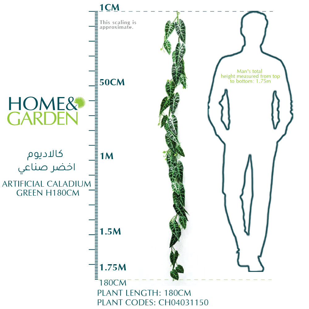 كالاديوم أخضر صناعي H180CM - كالاديوم اخضر صناعية 