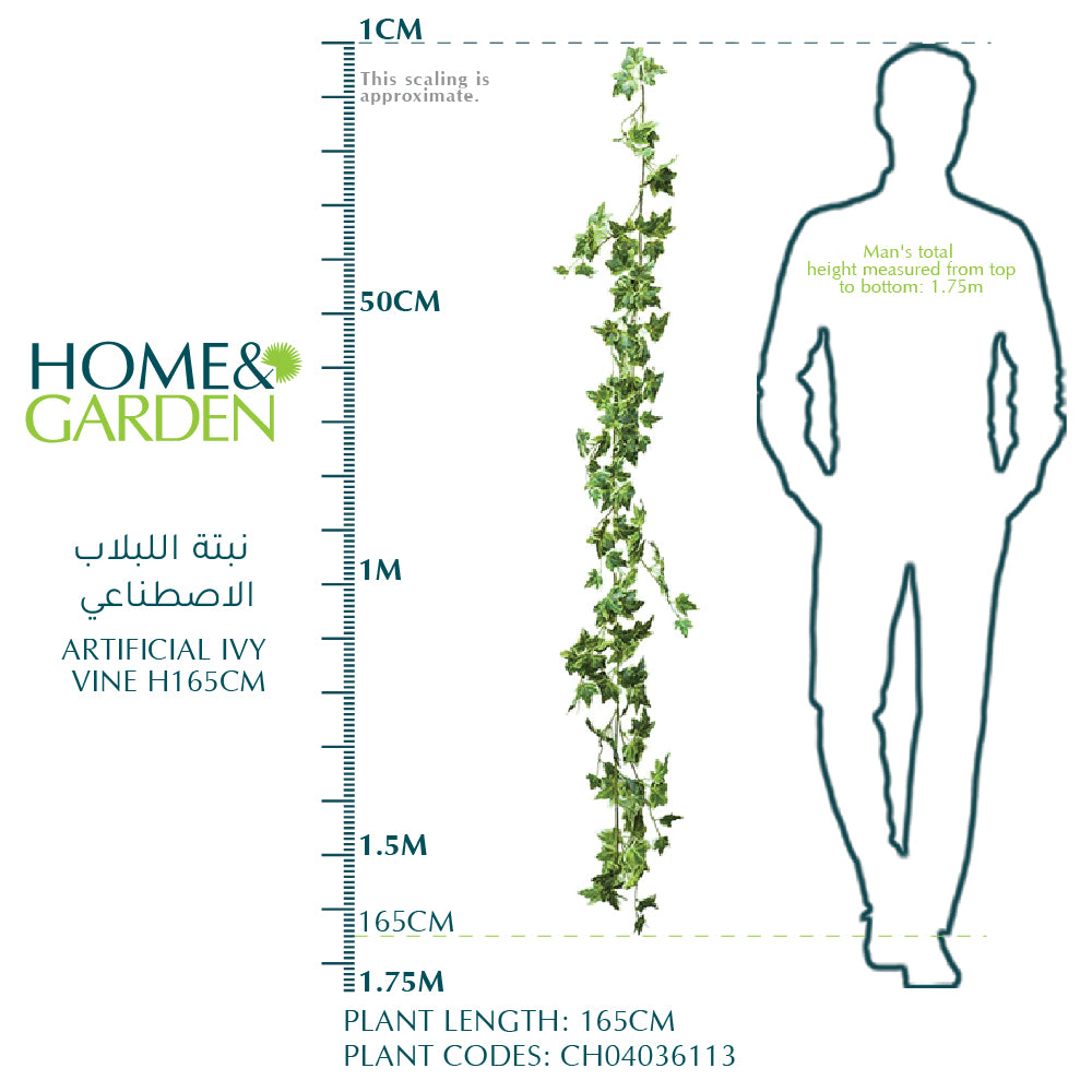 ARTIFICIAL IVY VINE H165CM - نبتة اللبلاب الاصطناعي