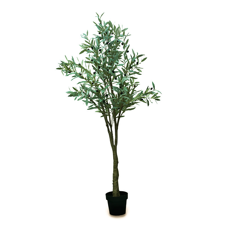 ARTIFICIAL OLIVE TREE H180CM - شجرة الزيتون الصناعي 180سم