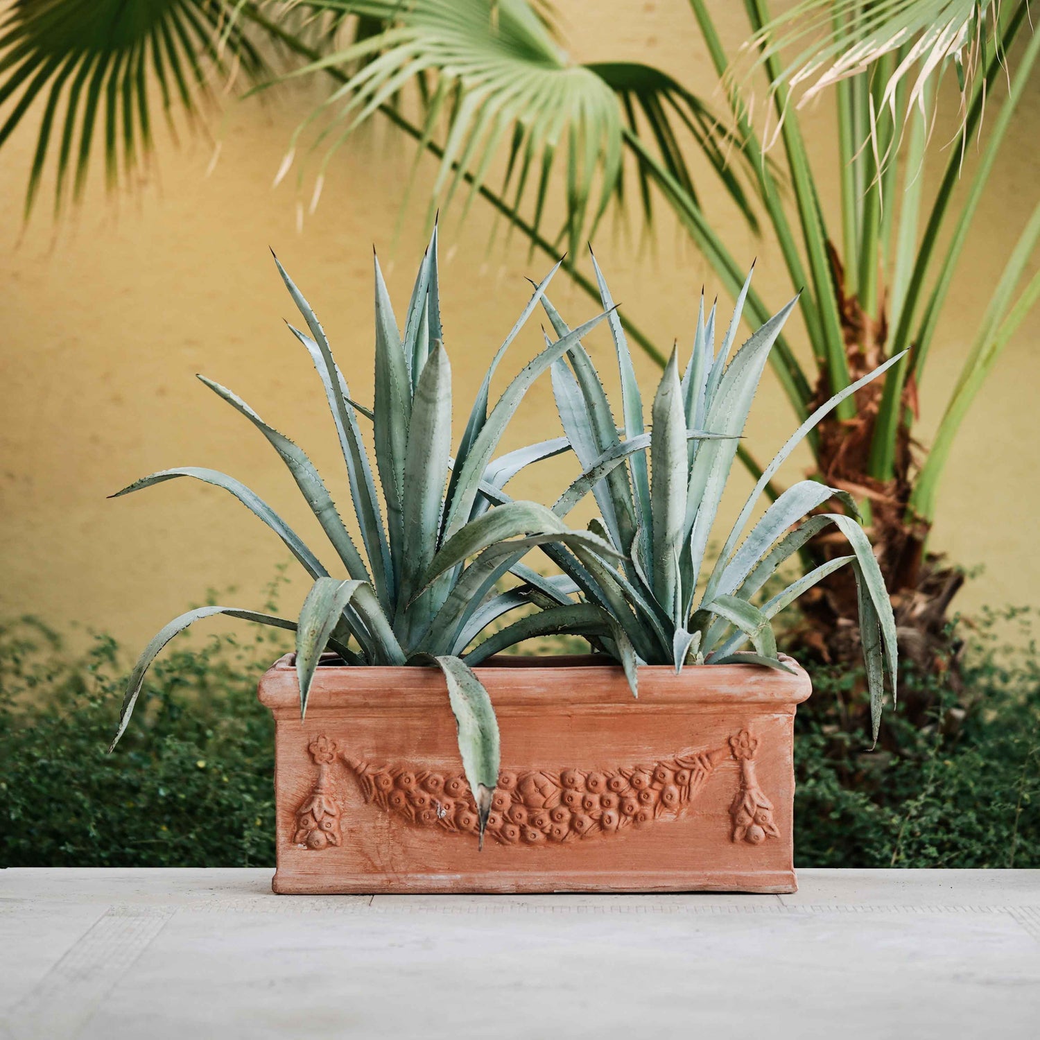 MOERS DISENADO TERRACOTTA PLANTER - حوض مويرز ديسينادو الفخار