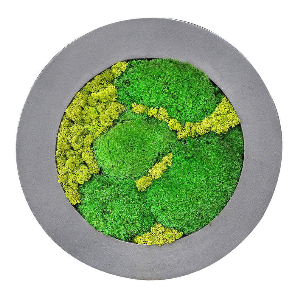 CUSTOMIZED PRESERVED MOSS MEDIUM ROUND FRAME (نباتات مجففة في حوض خرساني (حسب الطلب