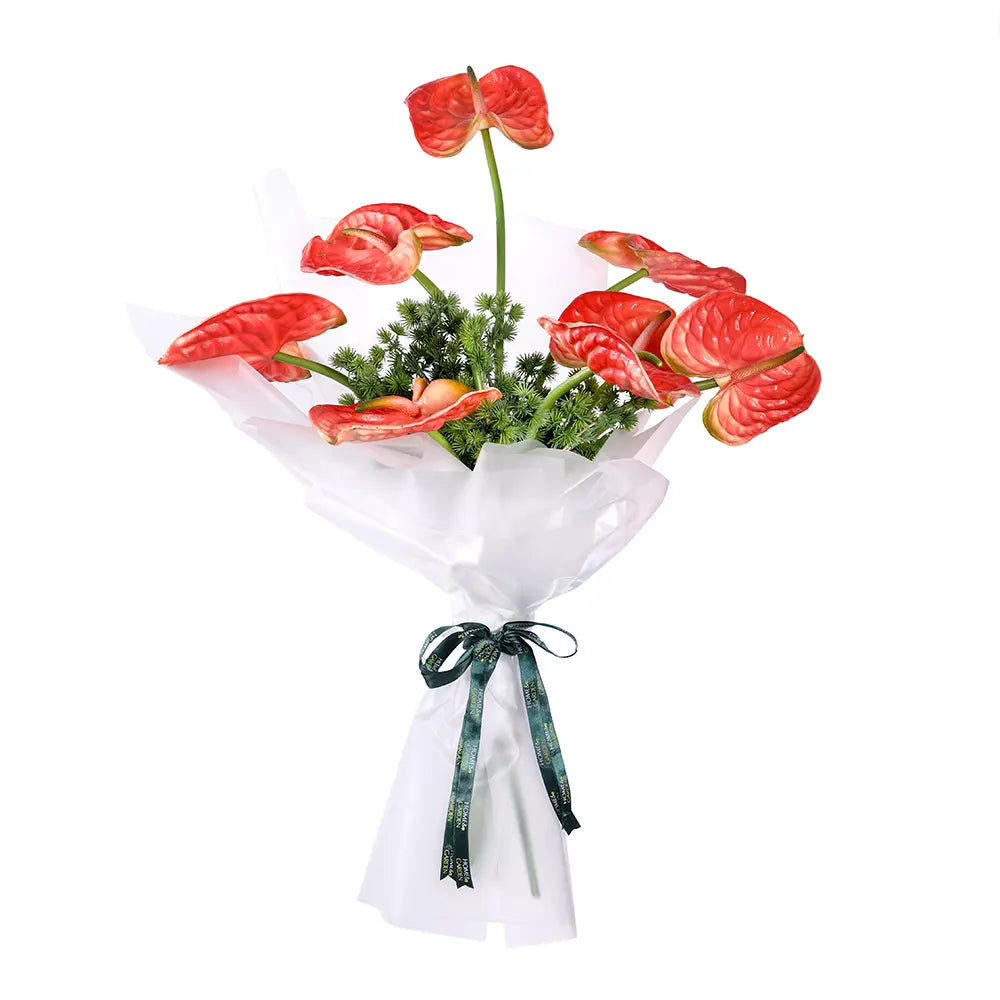 هوماتا تيرماني في حوض أزرق عتيق