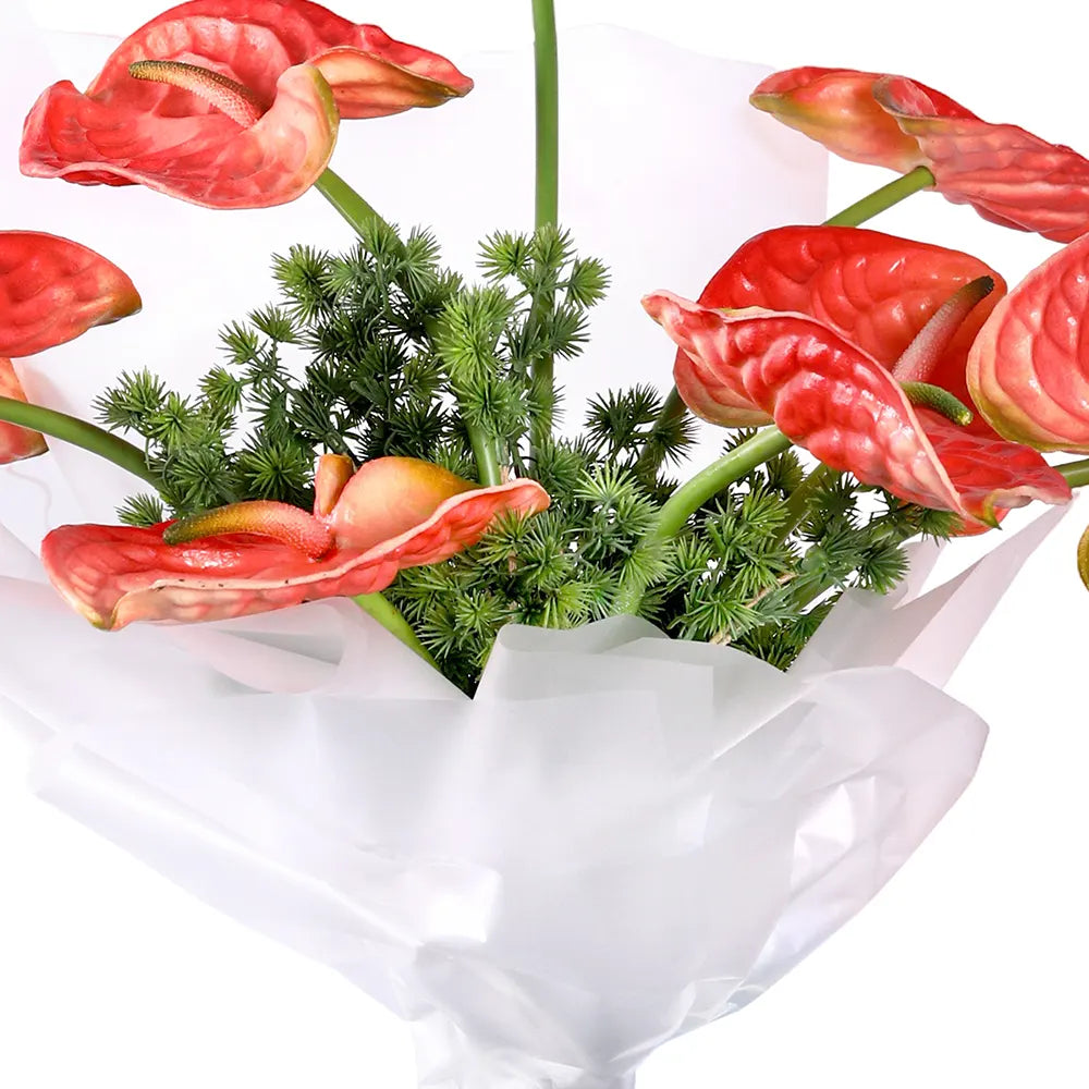 هوماتا تيرماني في حوض أزرق عتيق