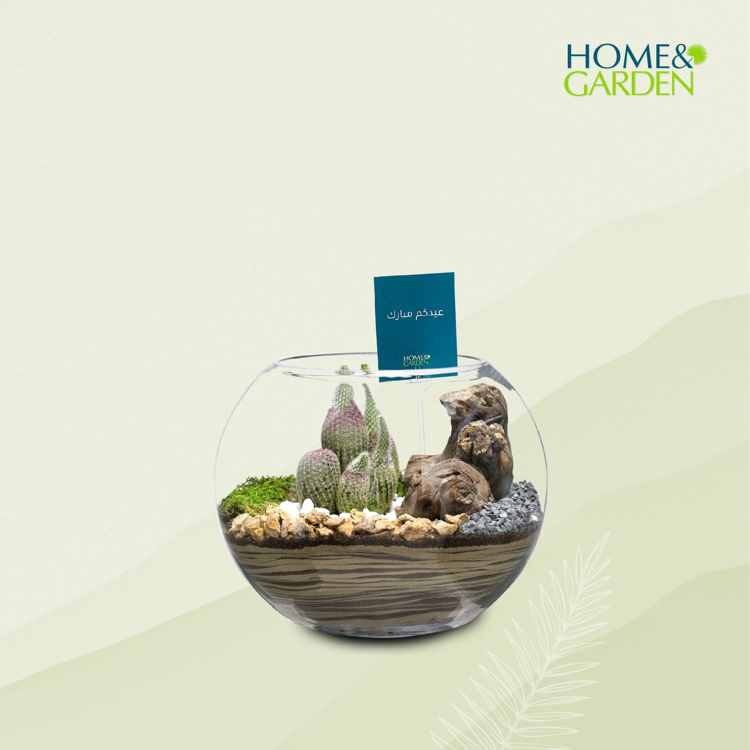 TERRARIUM GIFT SET - (صباريات في (هدية تيراريوم