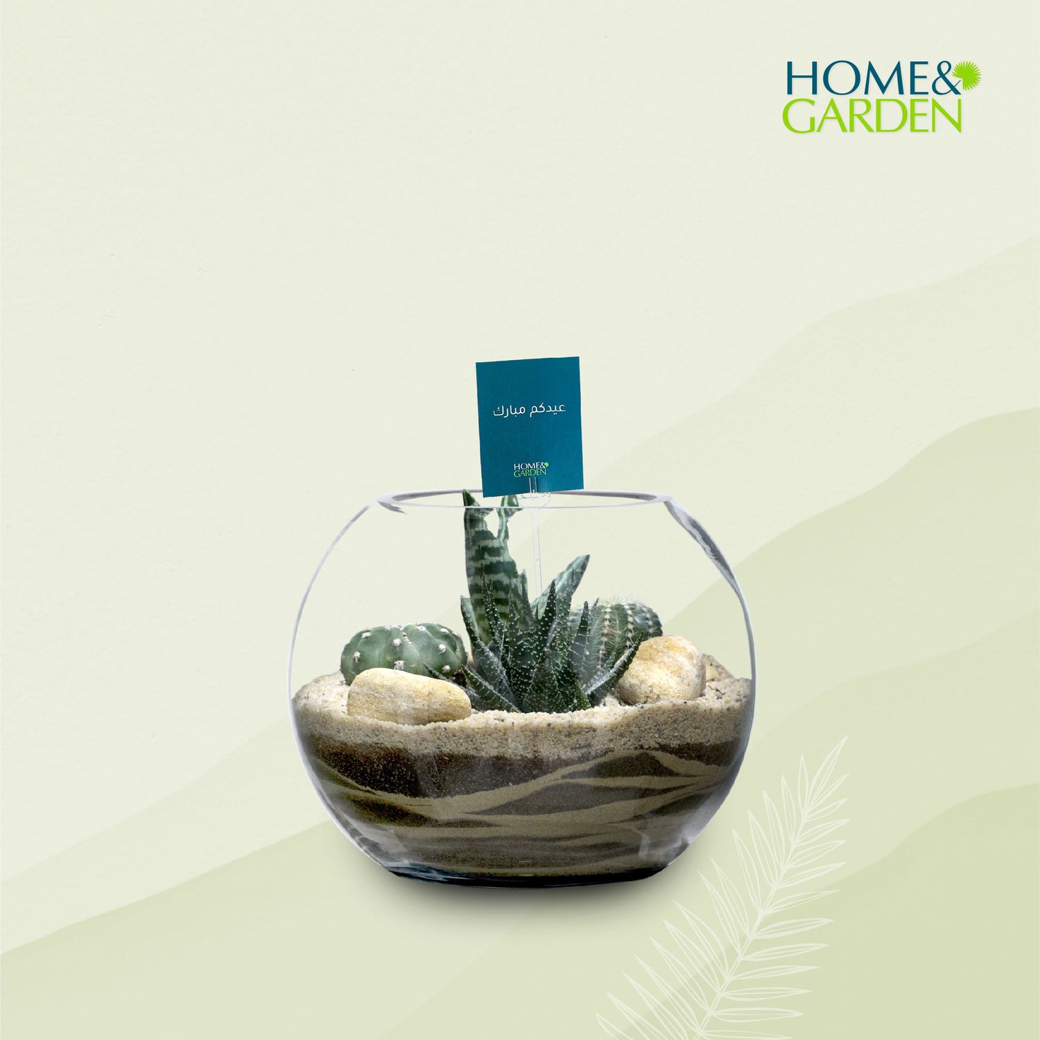 TERRARIUM GIFT SET - (صباريات في (هدية تيراريوم