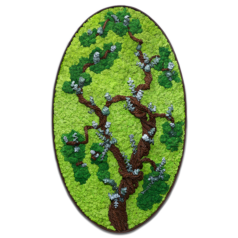 CUSTOMIZED PRESERVED MOSS BIG OVAL SHAPE FRAME (نباتات مجففة في حوض خرساني (حسب الطلب