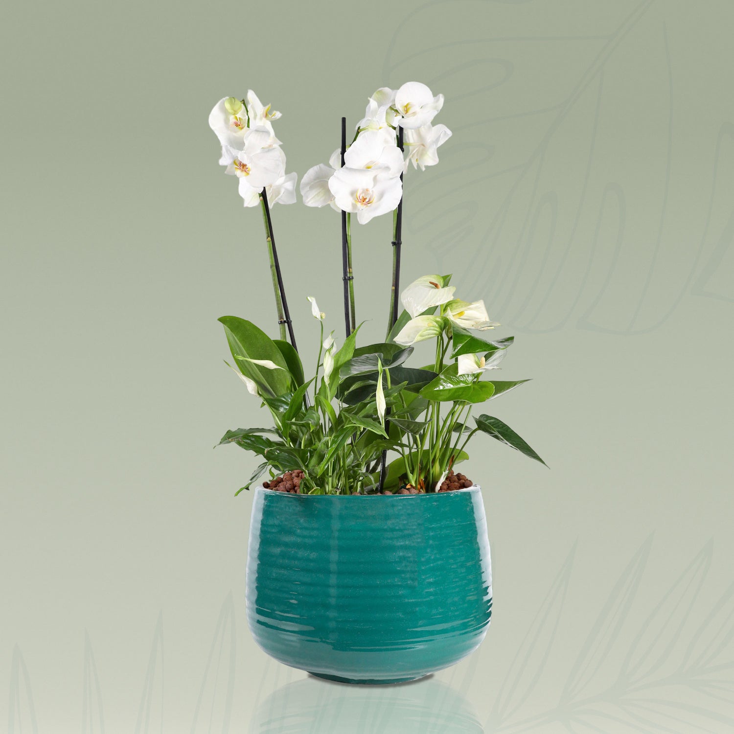 WHITE FLOWERS IN JADE GREEN CERAMIC POT