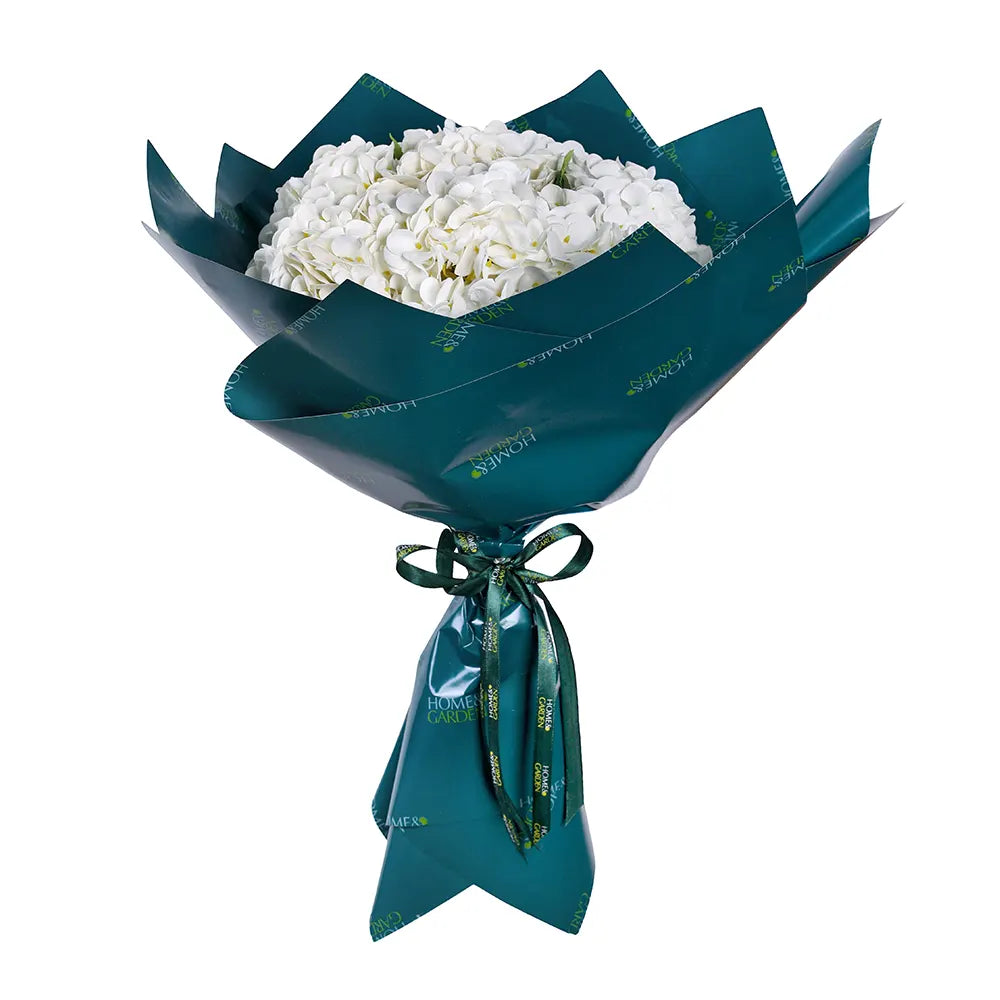 هوماتا تيرماني في حوض أزرق عتيق