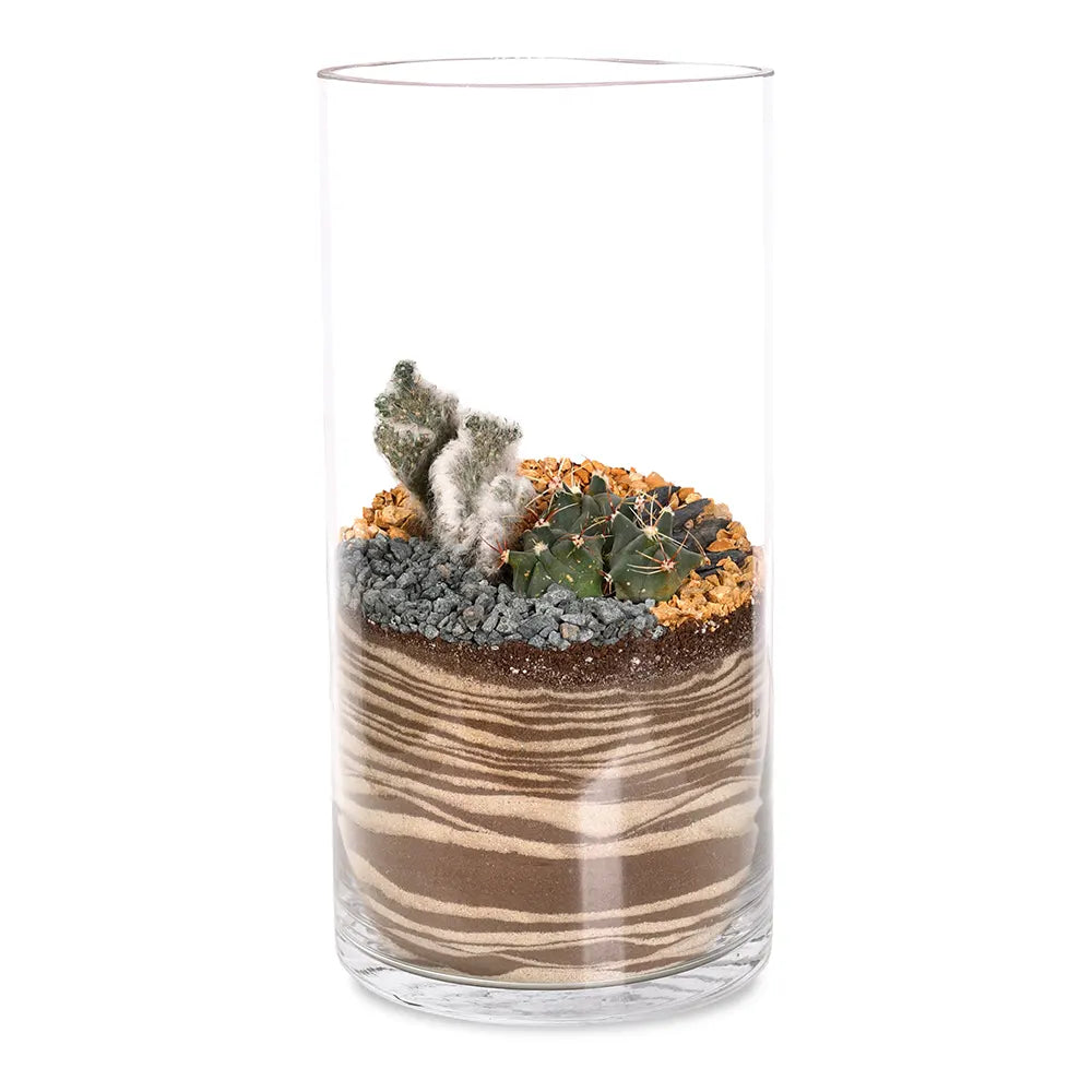 TERRARIUM GIFT SET - (صباريات في (هدية تيراريوم