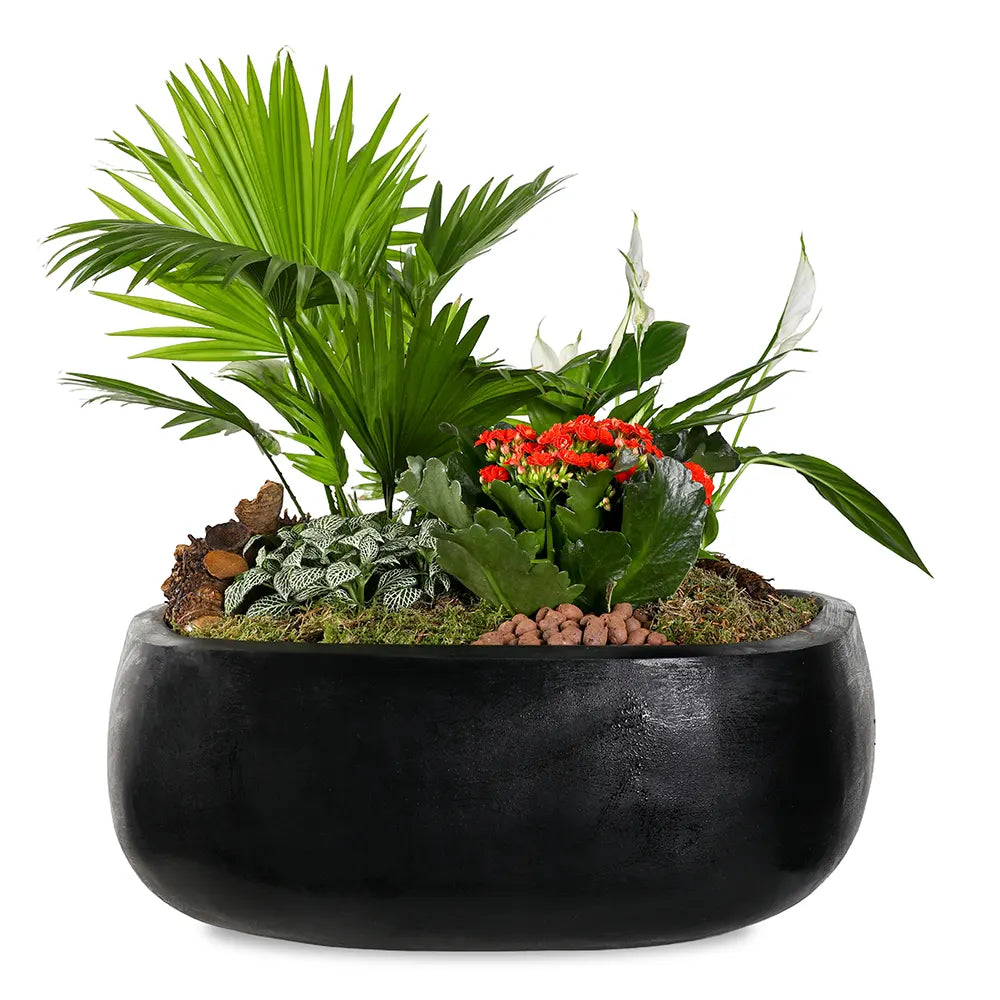 INDOOR PLANTS IN BLACK POT