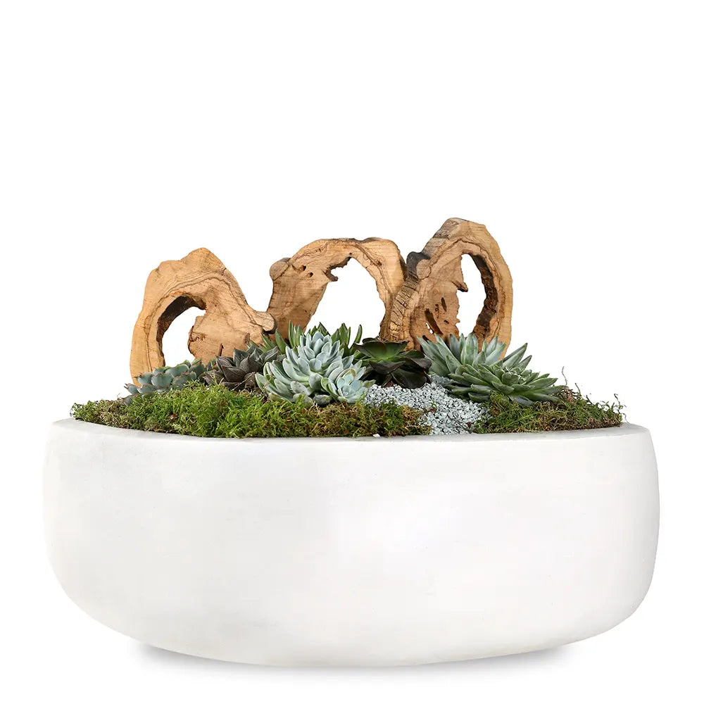 CACTUS GIFT ARRANGEMENT