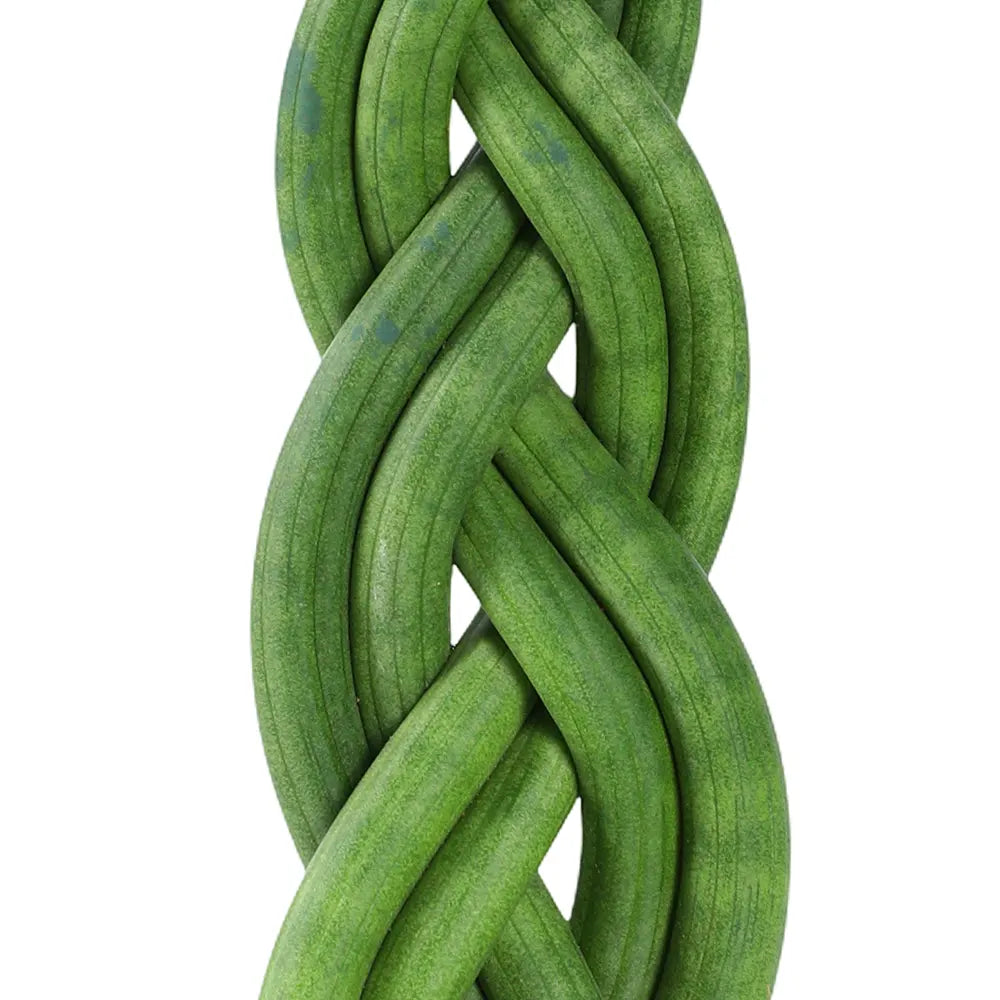 SANSEVIERIA CYLINDRICA TWIST H30 CM