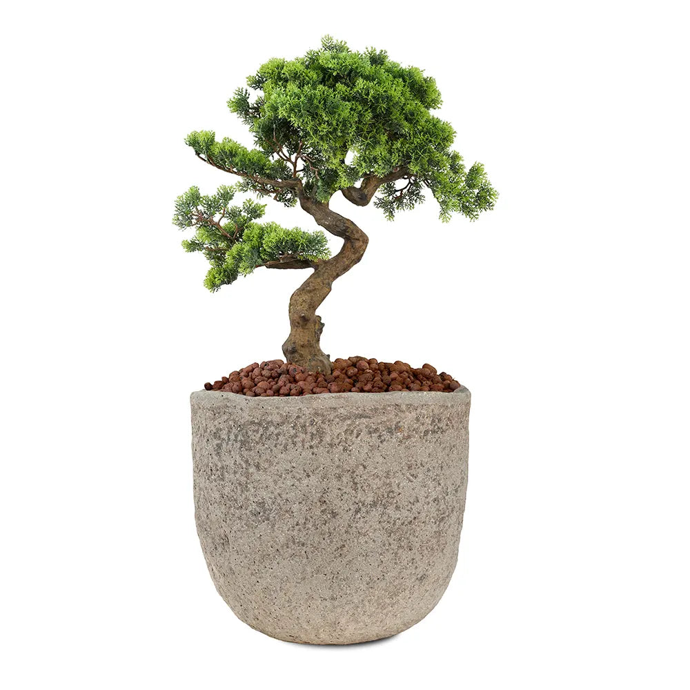  عصفور الجنة صناعي في حوض سيراميك ستافيردين - ارتفاع 160 سم