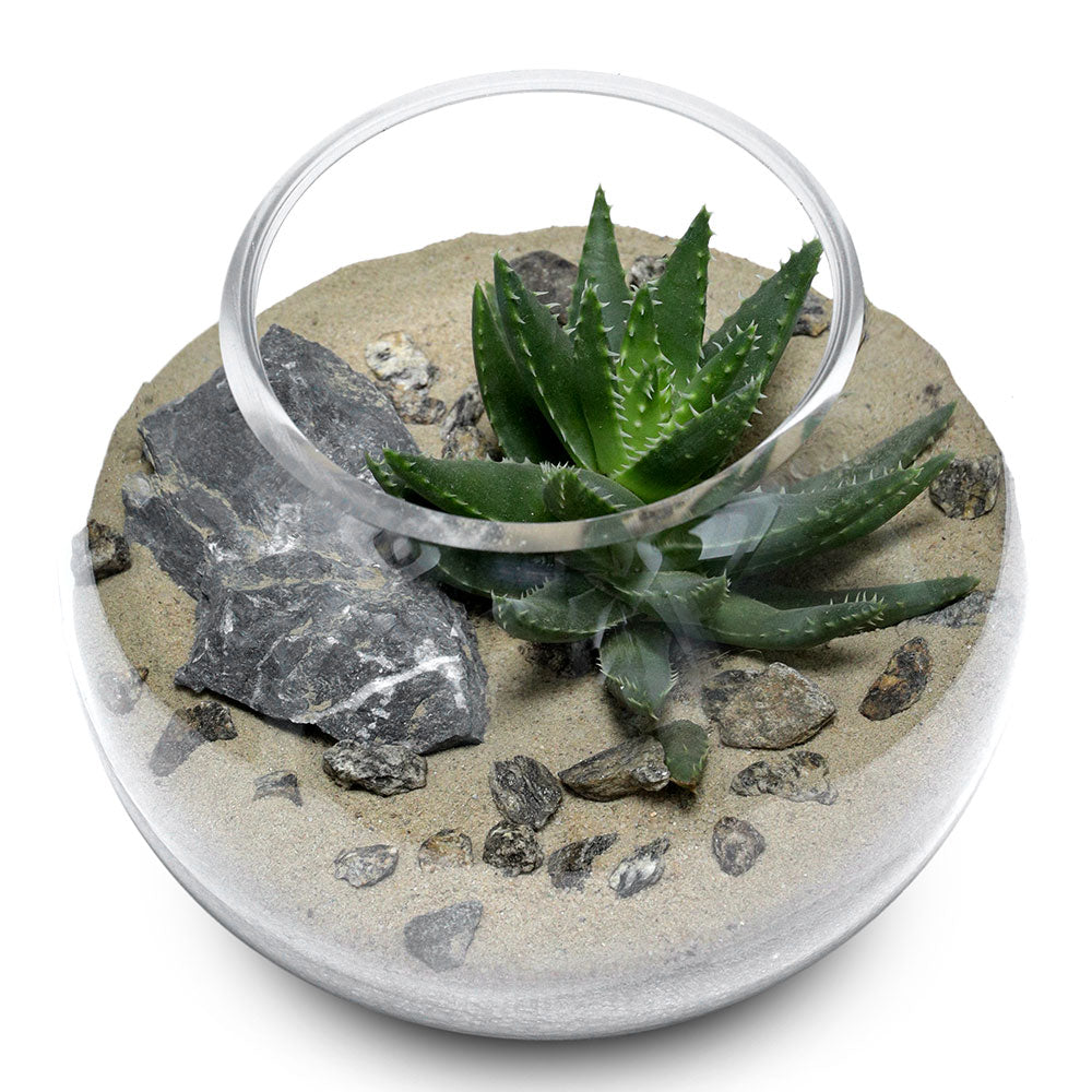 TERRARIUM GIFT SET - (صباريات في (هدية تيراريوم