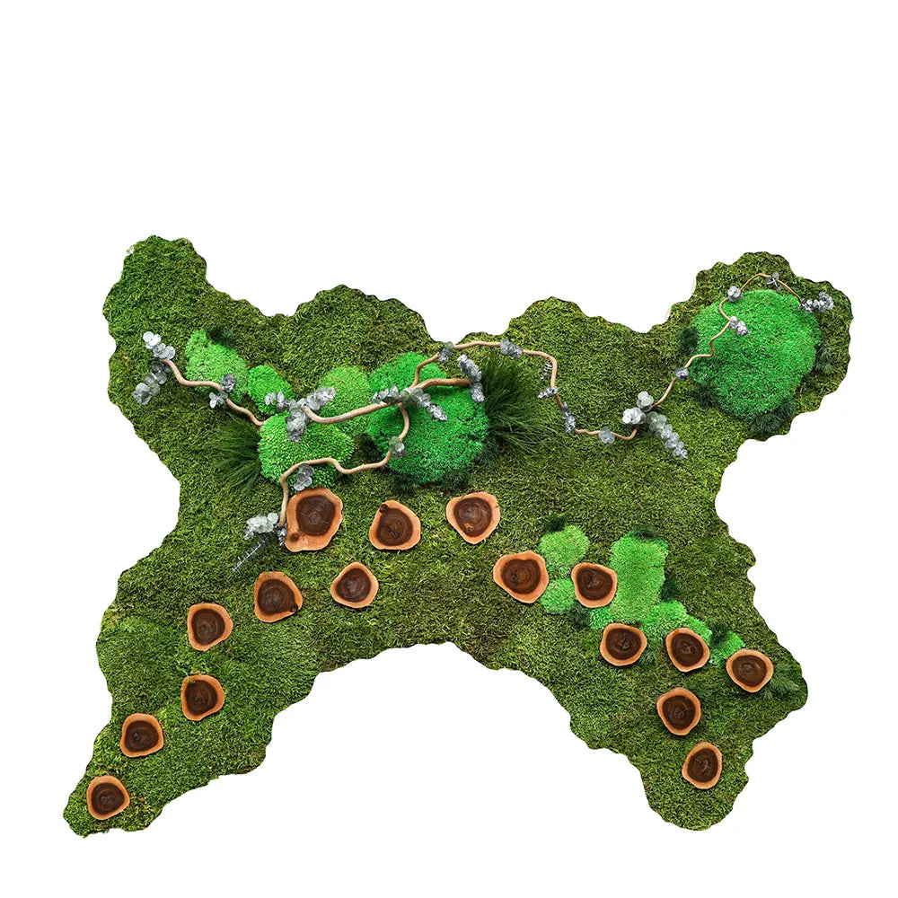 CUSTOMIZED PRESERVED MOSS WOODEN FRAME