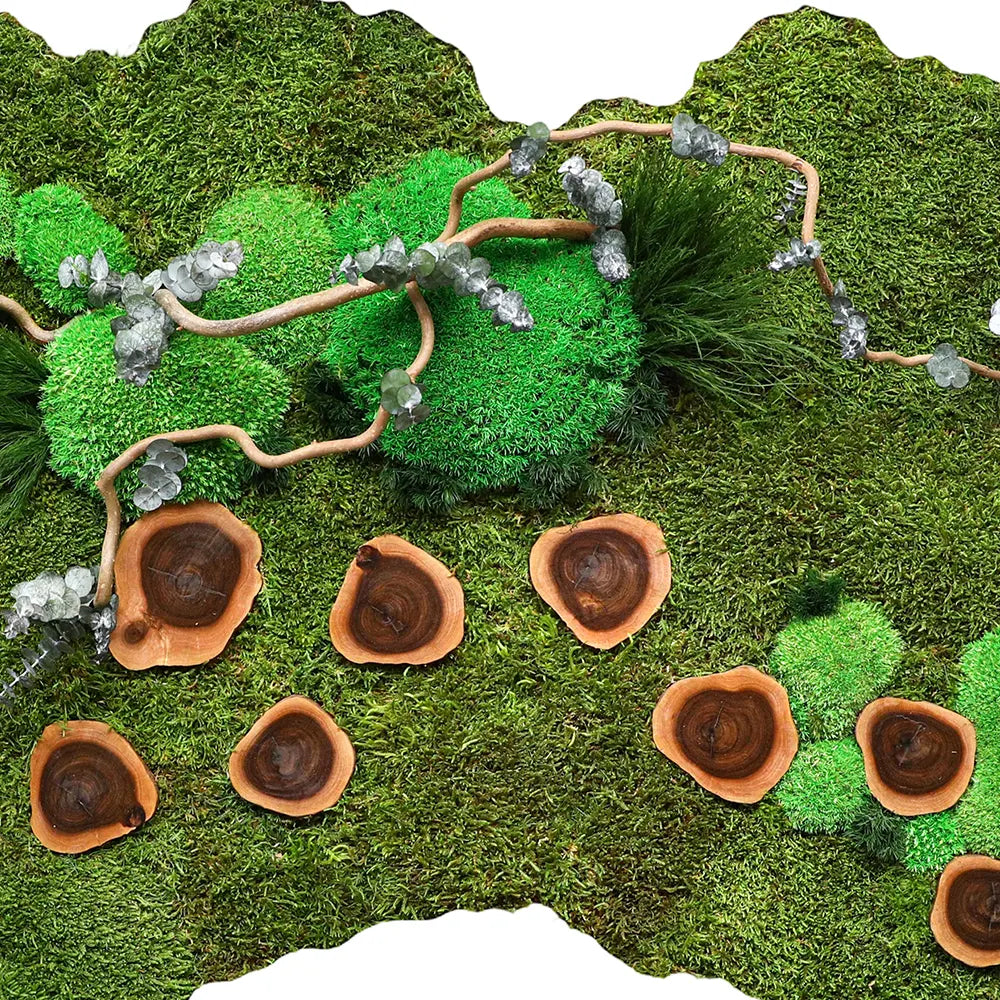 CUSTOMIZED PRESERVED MOSS WOODEN FRAME