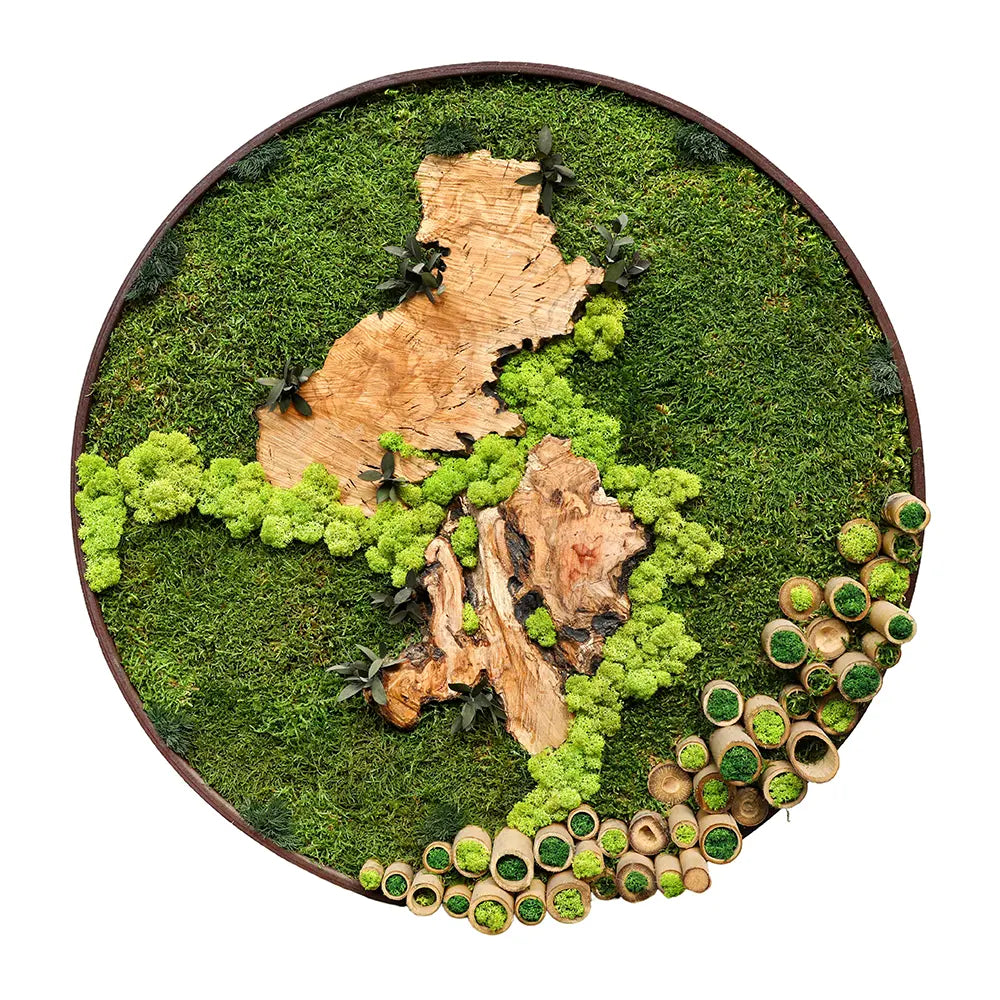 CUSTOMIZED ARTIFICIAL MOSS FRAME