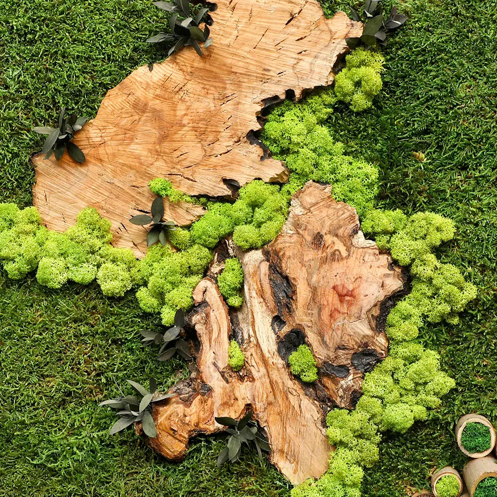 CUSTOMIZED ARTIFICIAL MOSS FRAME