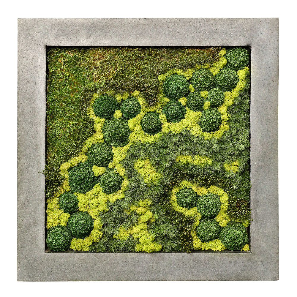 CUSTOMIZED PRESERVED MOSS FRAME (نباتات مجففة في إطار خرساني (حسب الطلب