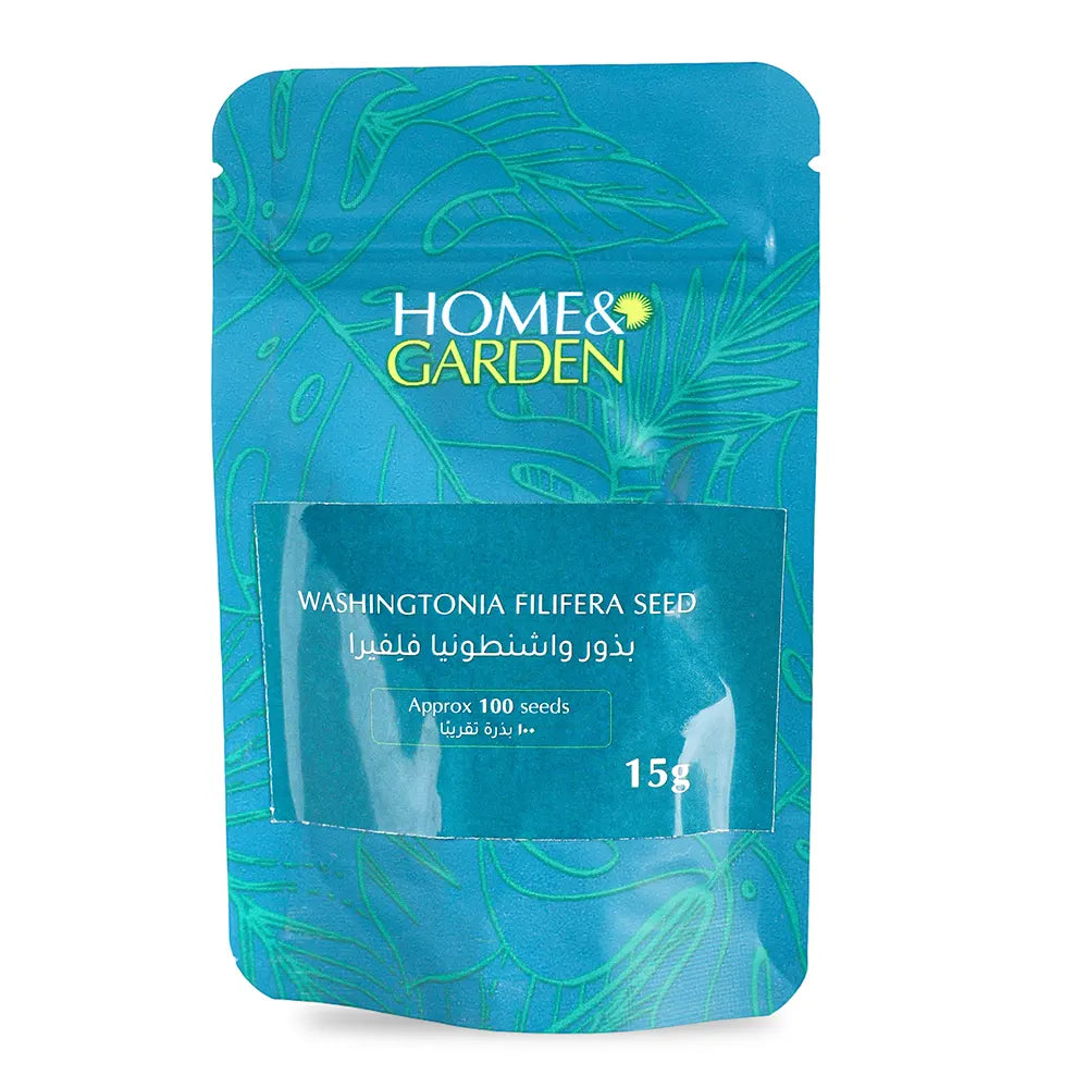 WASHINGTONIA FILIFERA SEED 15 GMS