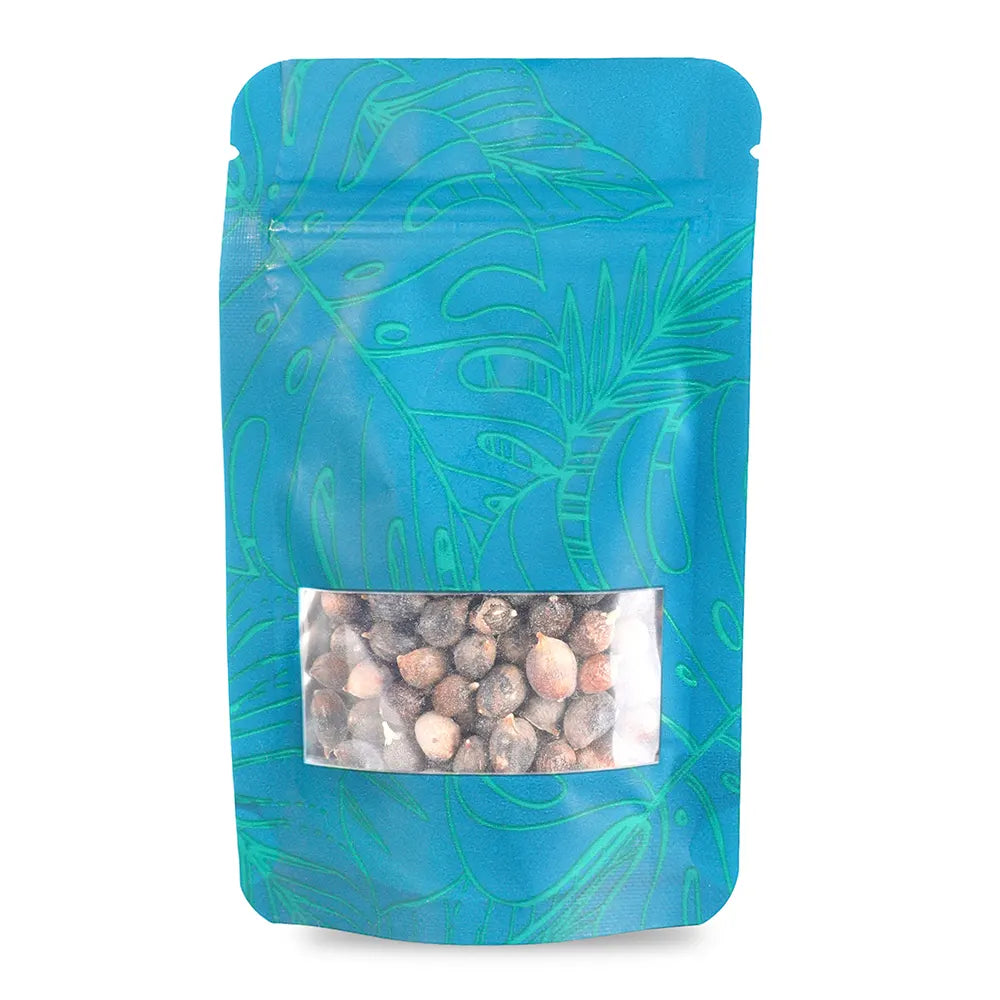 WASHINGTONIA FILIFERA SEED 15 GMS