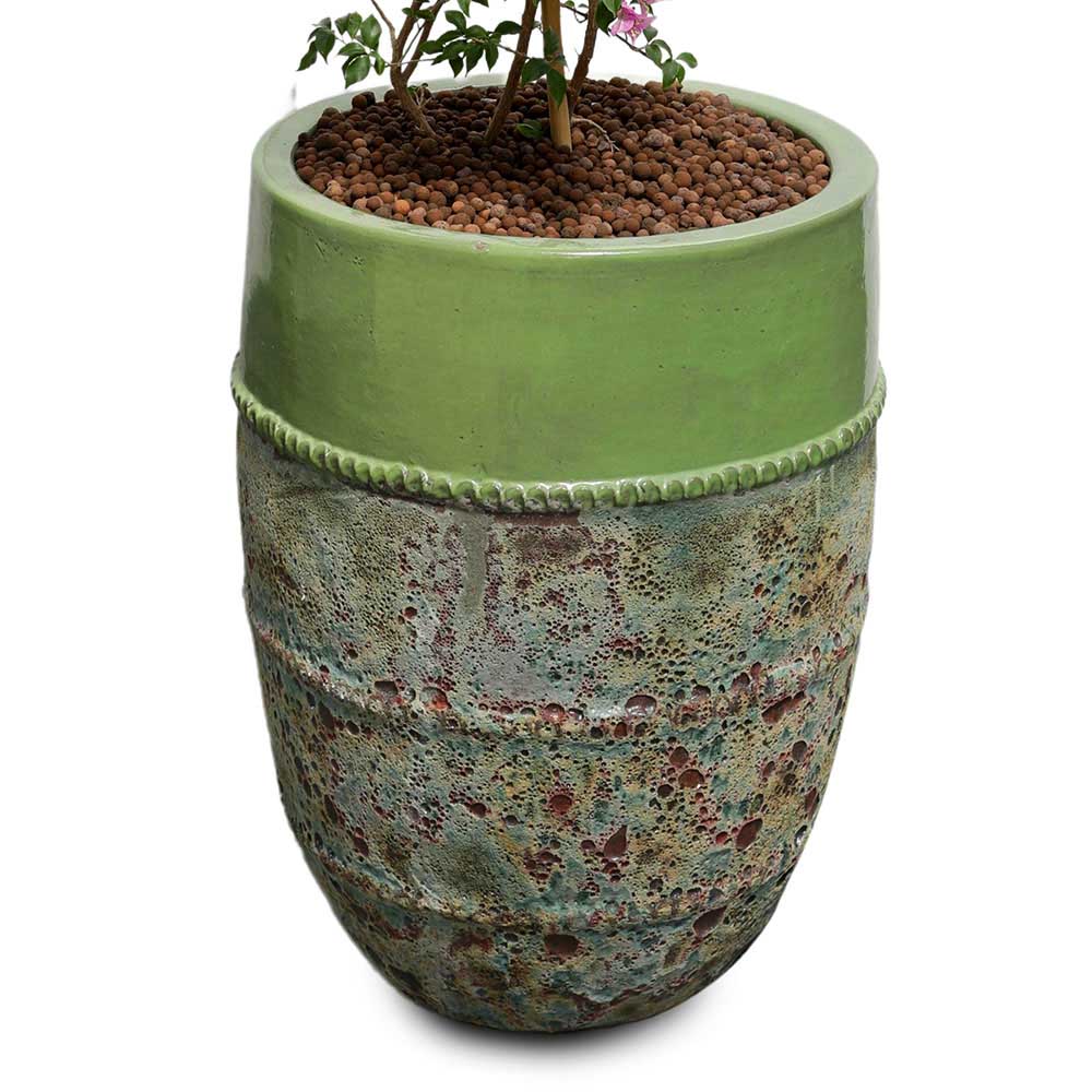 BOUGAINVILLEA COMO IN PETROLINA MINT-MIST GREEN CERAMIC POT - جهنمية في حوض بترولينا الأخضر