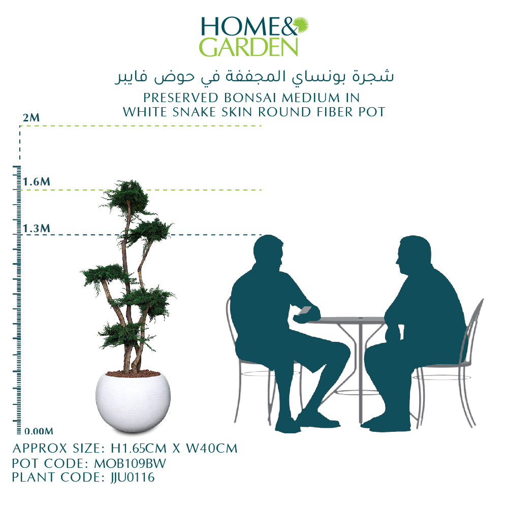 حوض بونساي محفوظ وسط في وعاء ألياف دائري مصنوع من جلد الثعبان الأبيض-شجرة بونساي المجففة في فايبر