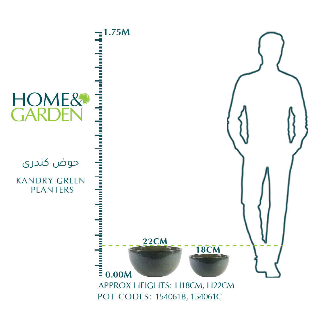 كاندري جرين بلانتر - حوض كندرى 