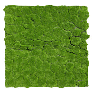 PIXIE PATCHES ARTIFICIAL WALL MOSS (L100xW100CM) - الطحلب الجداري الصناعي بيكسي باتشز (الطول 100 سم × العرض 100 سم)