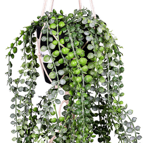ARTIFICIAL HANGING VINE PLANT - نبات الكرمة الاصطناعي المعلق