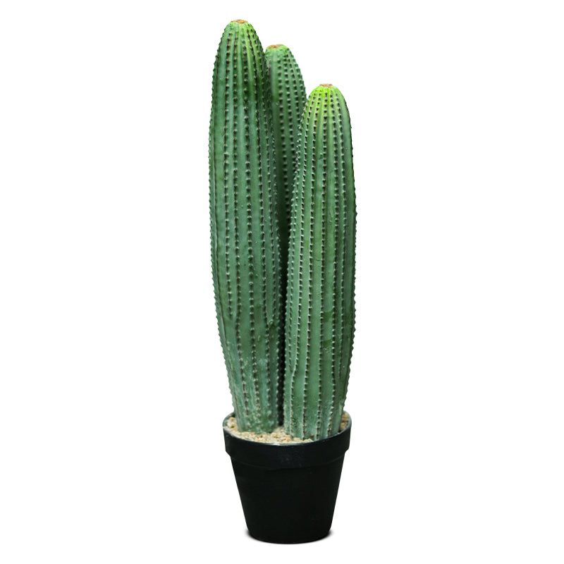 ARTIFICIAL CACTUS PLANT H48CM - صبار صناعى