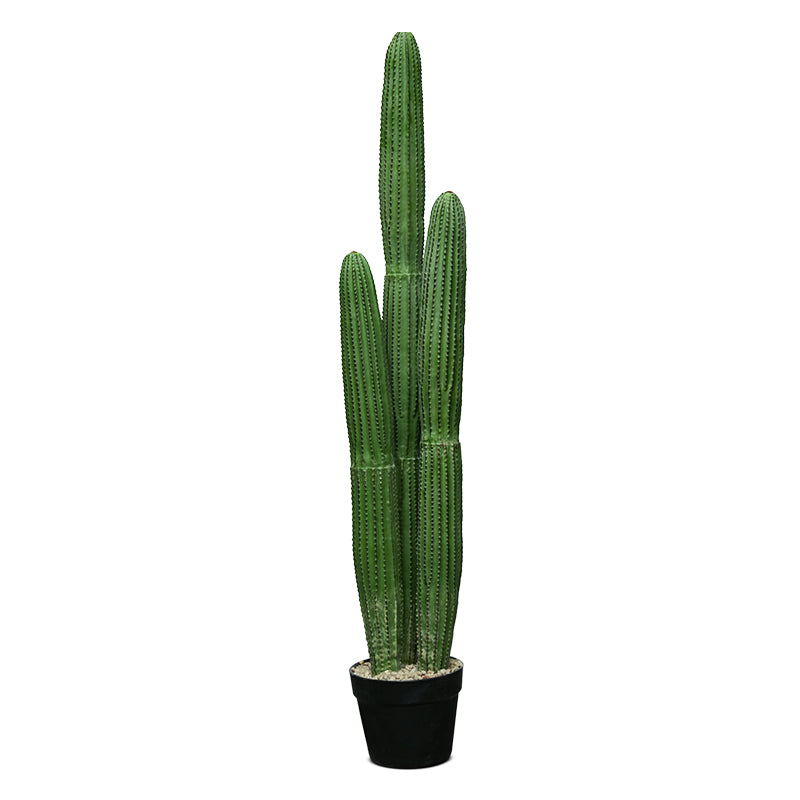 ARTIFICIAL CACTUS PLANT H103CM- صبار صناعى