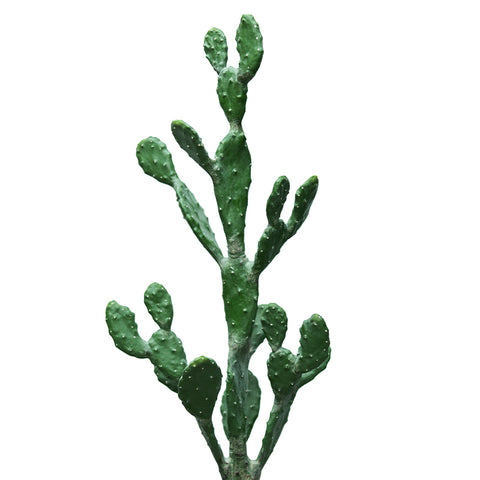 ARTIFICIAL CACTUS PLANT H97CM- صبار صناعى