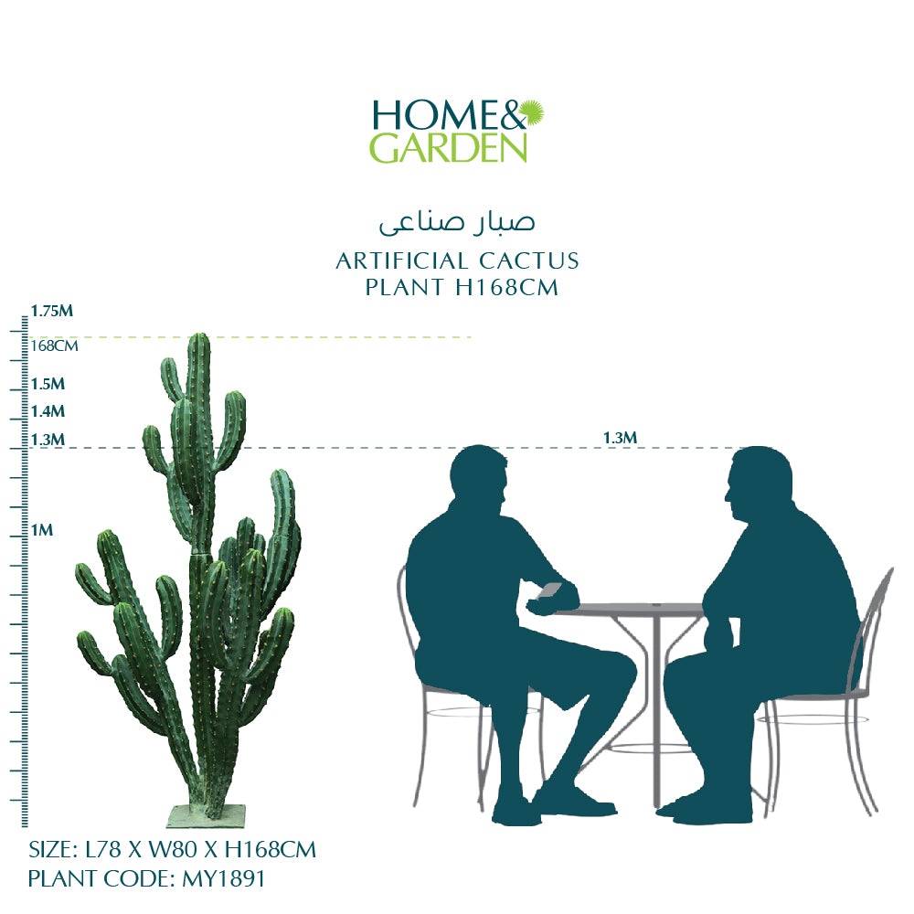 ARTIFICIAL CACTUS PLANT H168CM- صبار صناعى