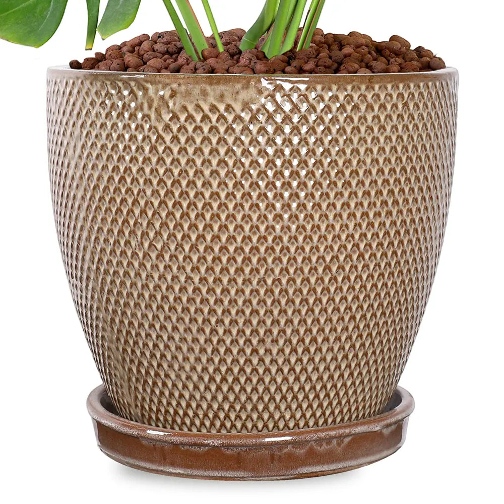 MONSTERA IN SNOPA BROWN CERAMIC PLANTER