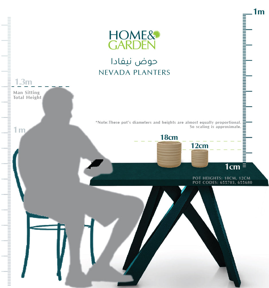 نيفادا بلانتر - حوض نيفادا 