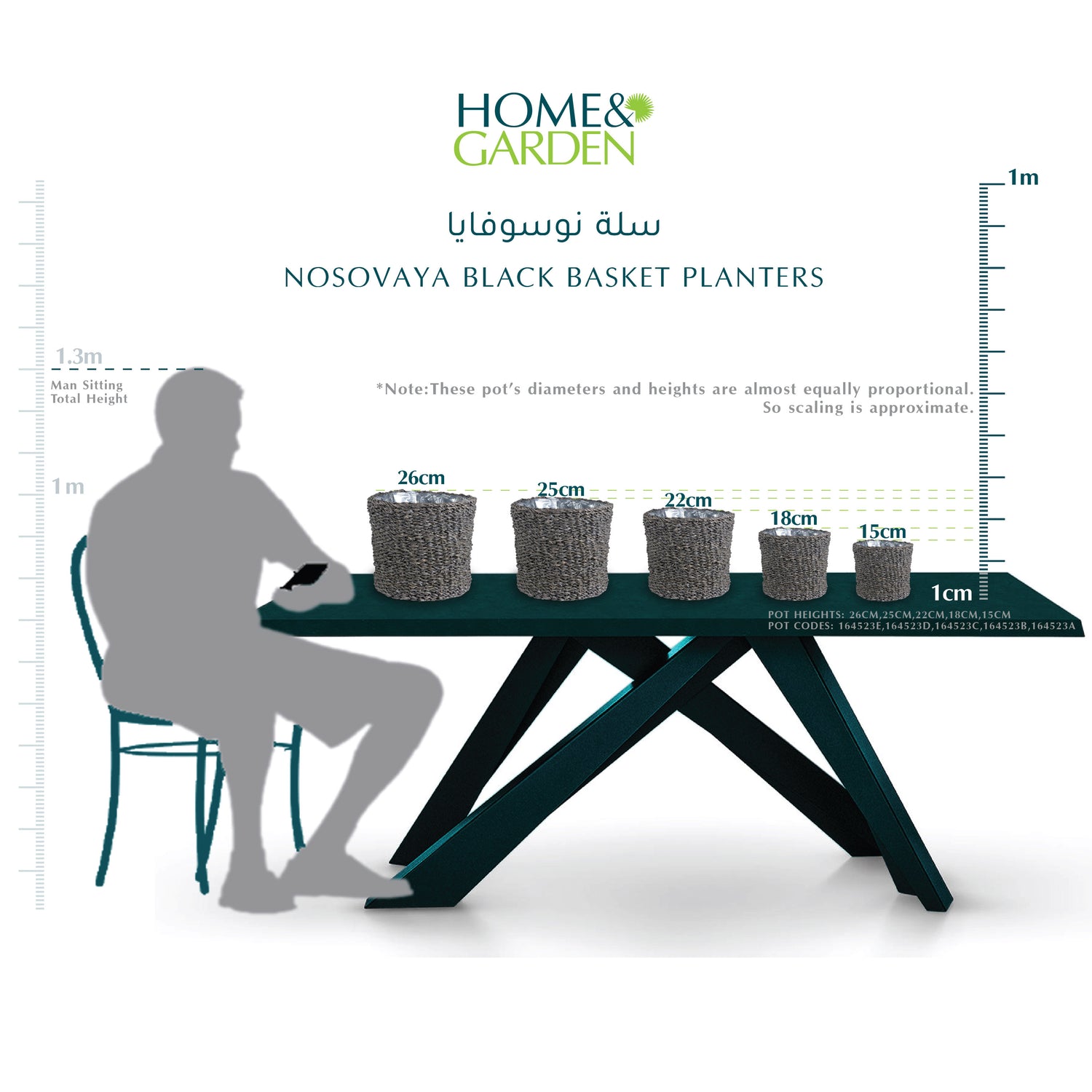 NOSOVAYA BLACK BASKET PLANTERS - سلة نوسوفايا 