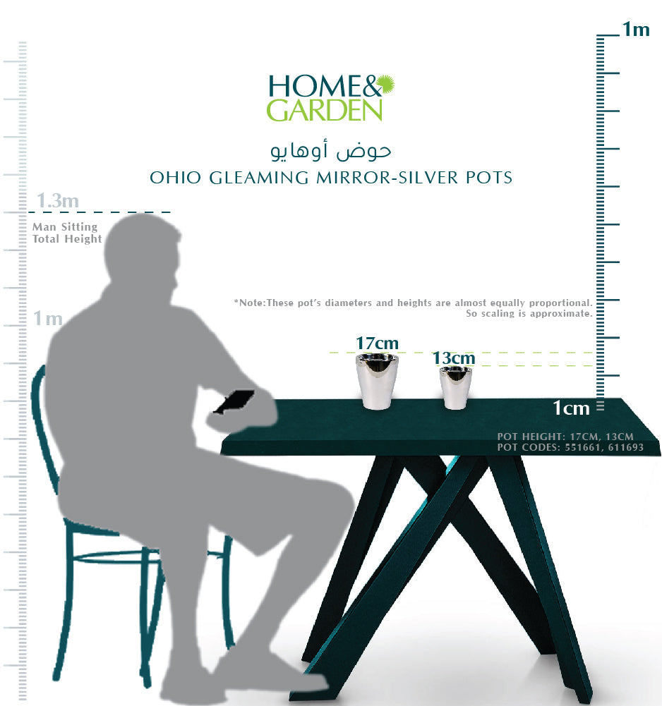 OHIO GLEAMING MIRROR-SILVER POT  - حوض أوهايو