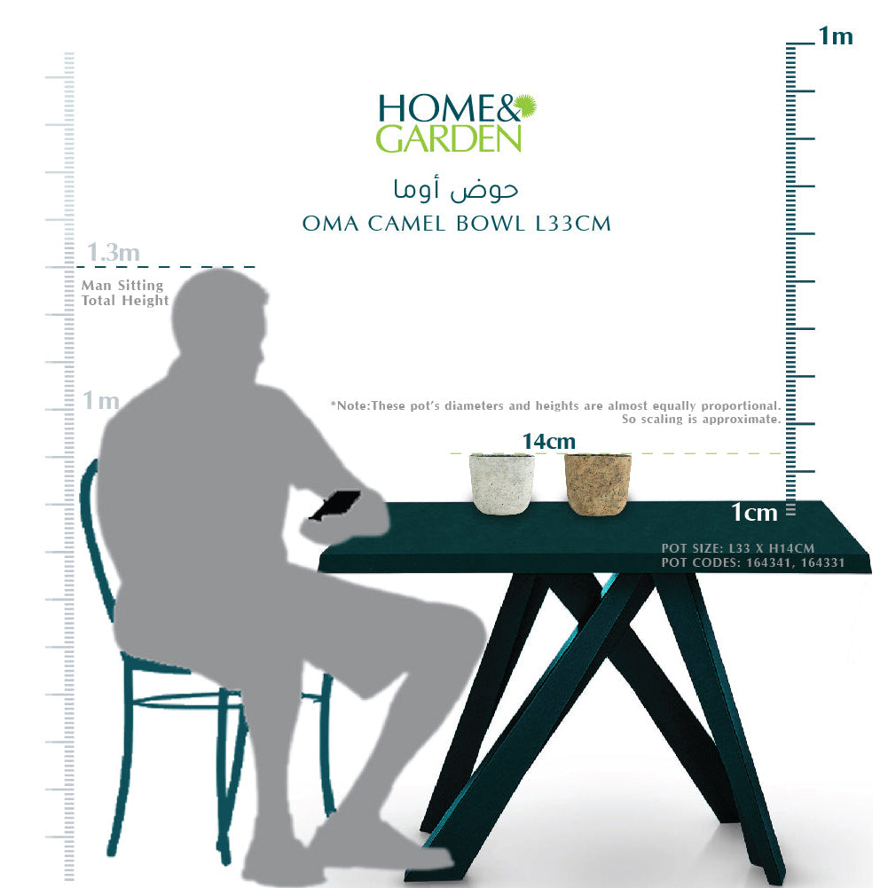 OMA وعاء جمل L33CM - حوض أوما