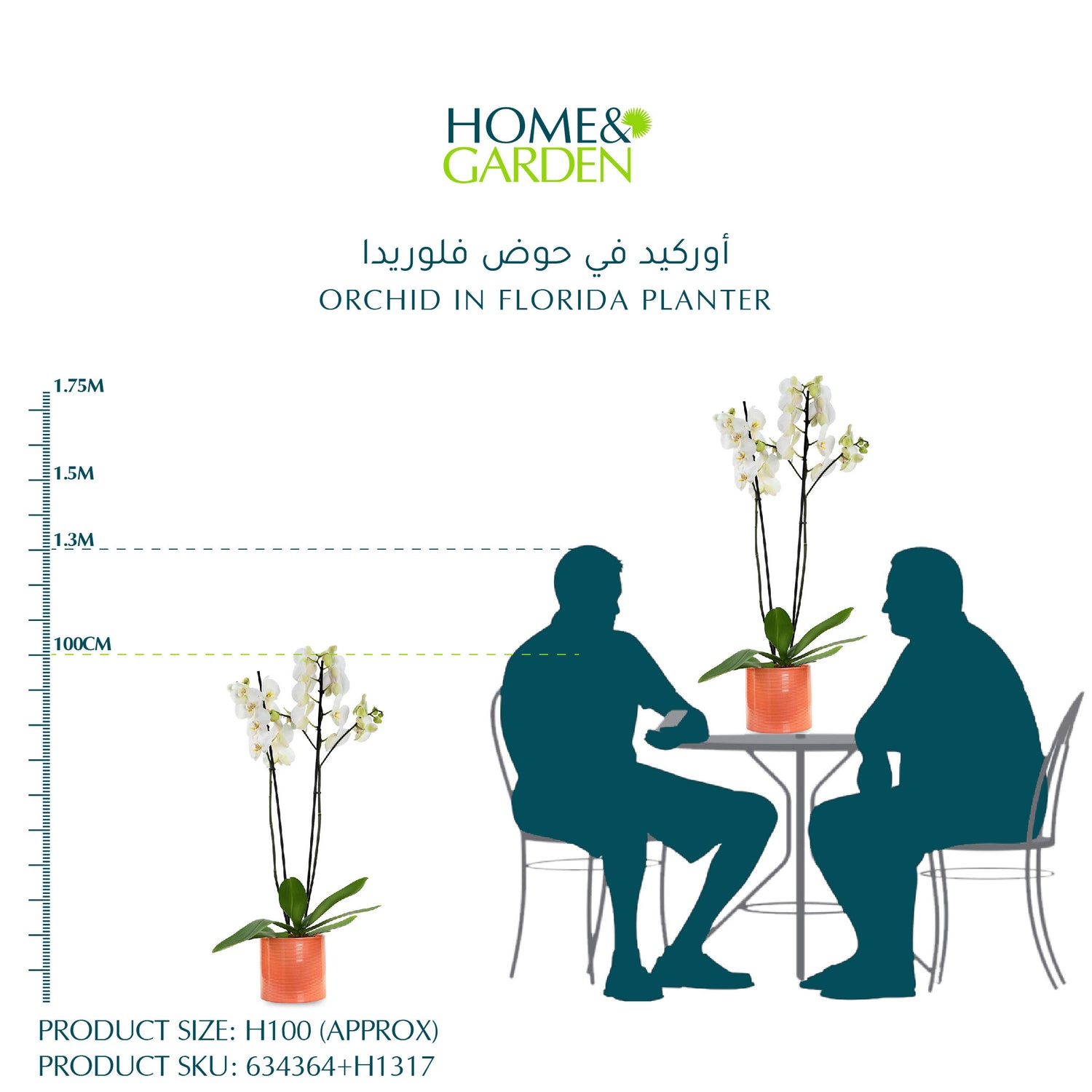 أوركيد في حوض فلوريدا