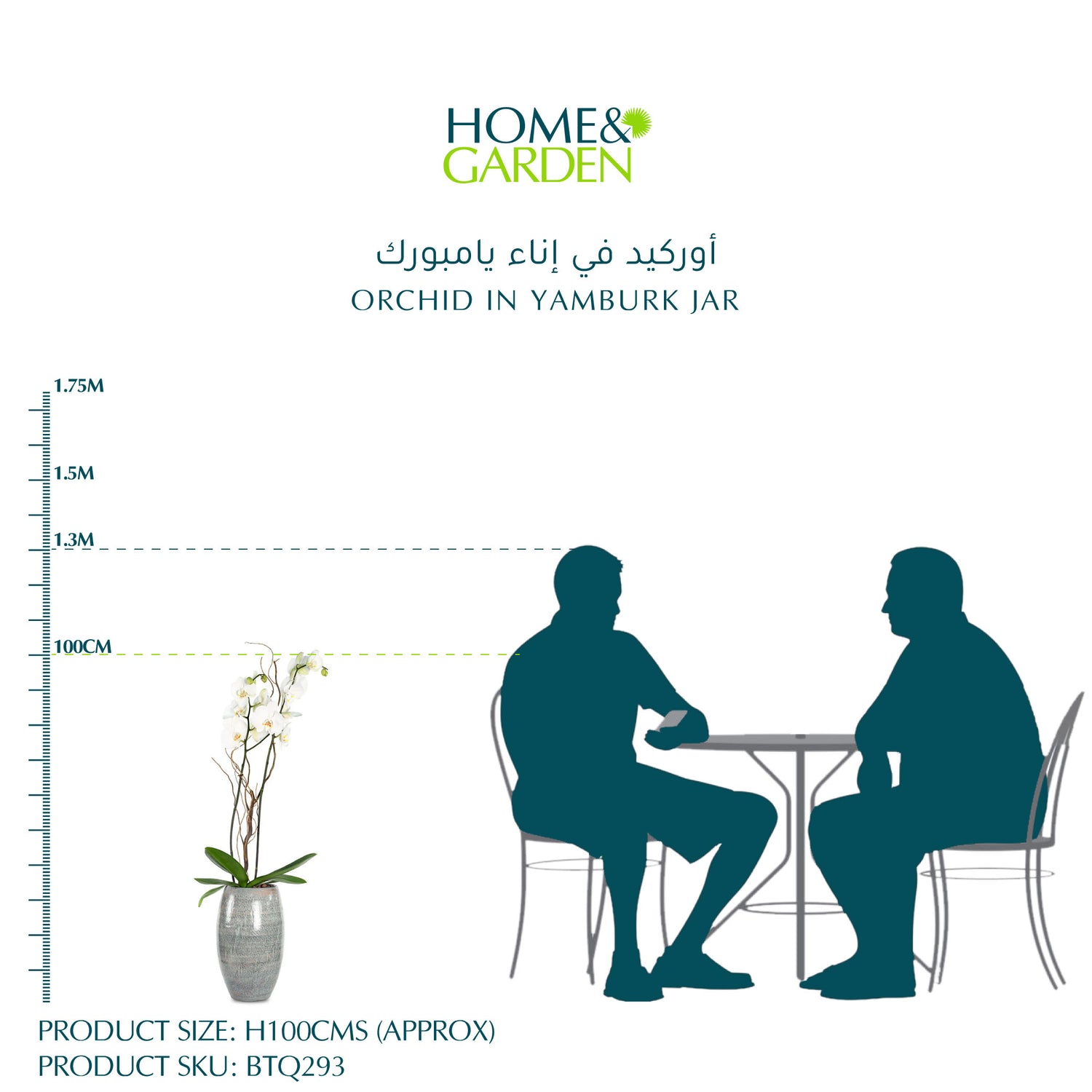 ORCHID IN YAMBURK JAR - أوركيد في إناء يامبورك