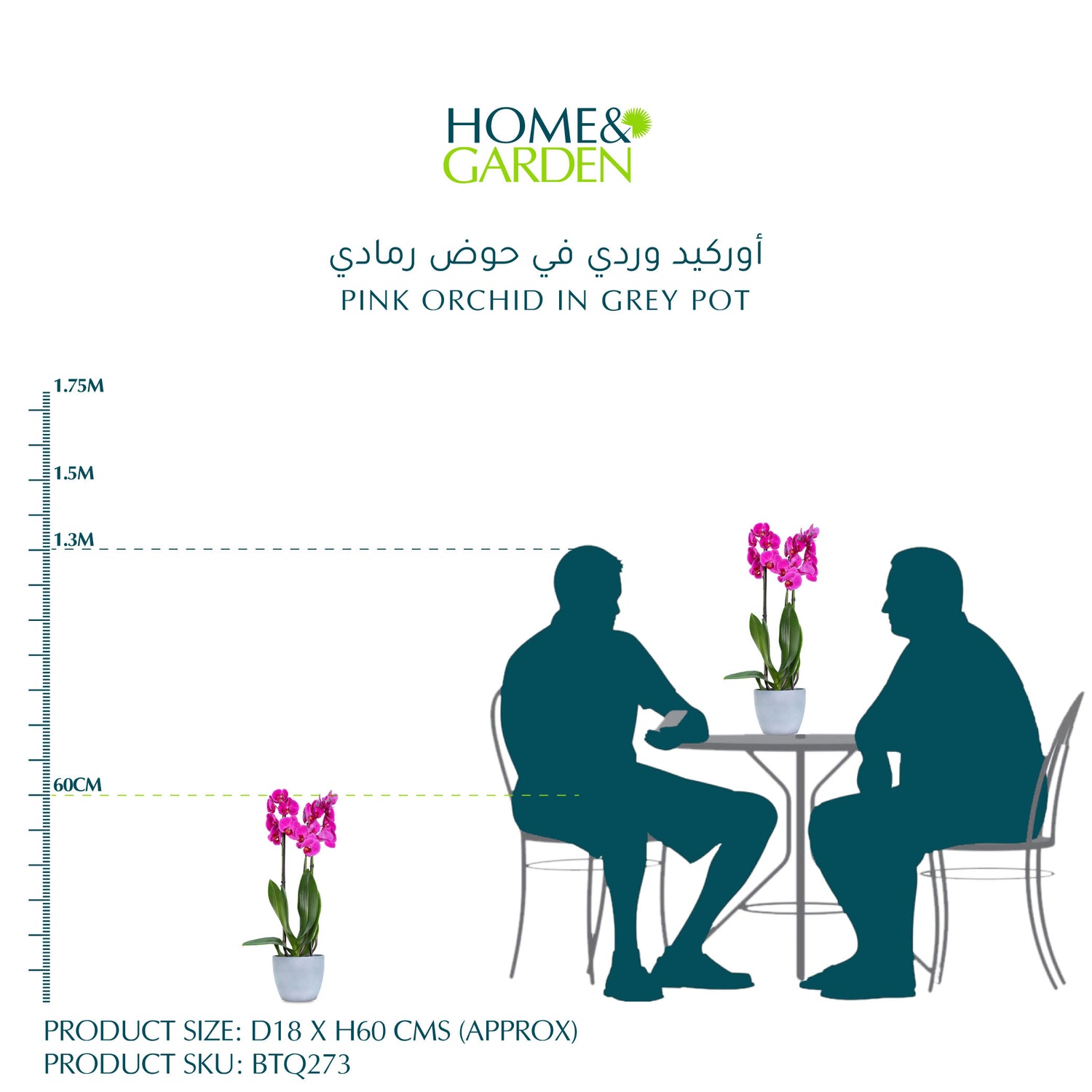 أوركيد وردي في حوض رمادي
