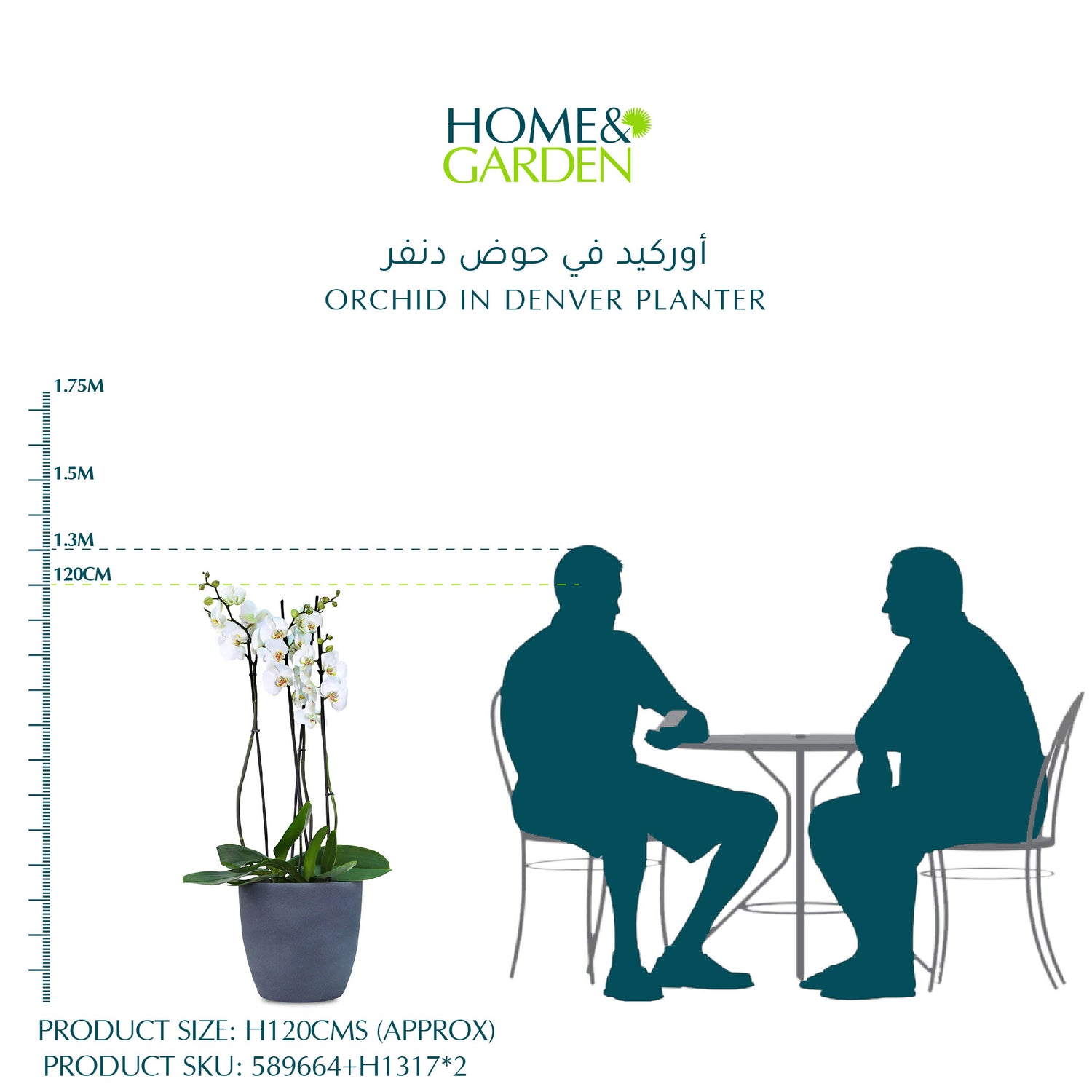 أوركيد في حوض دنفر