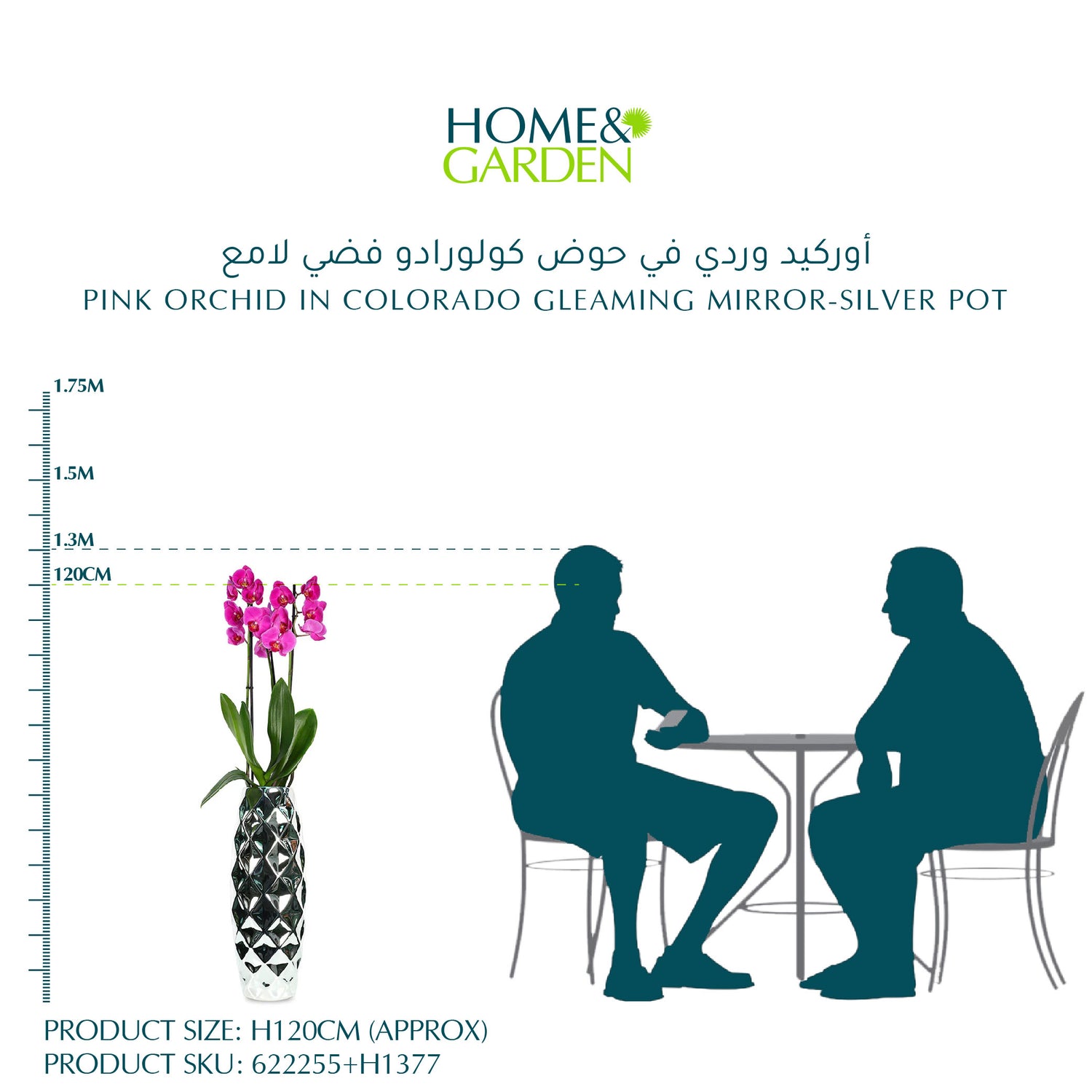 PINK ORCHID IN COLORADO GLEAMING MIRROR-SILVER POT - أوركيد وردي في حوض كولورادو فضي لامع