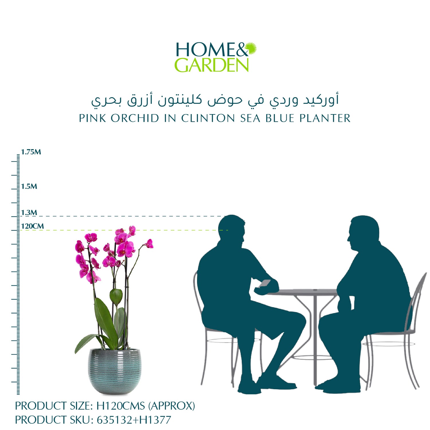  أوركيد وردي في حوض كلينتون أزرق بحري
