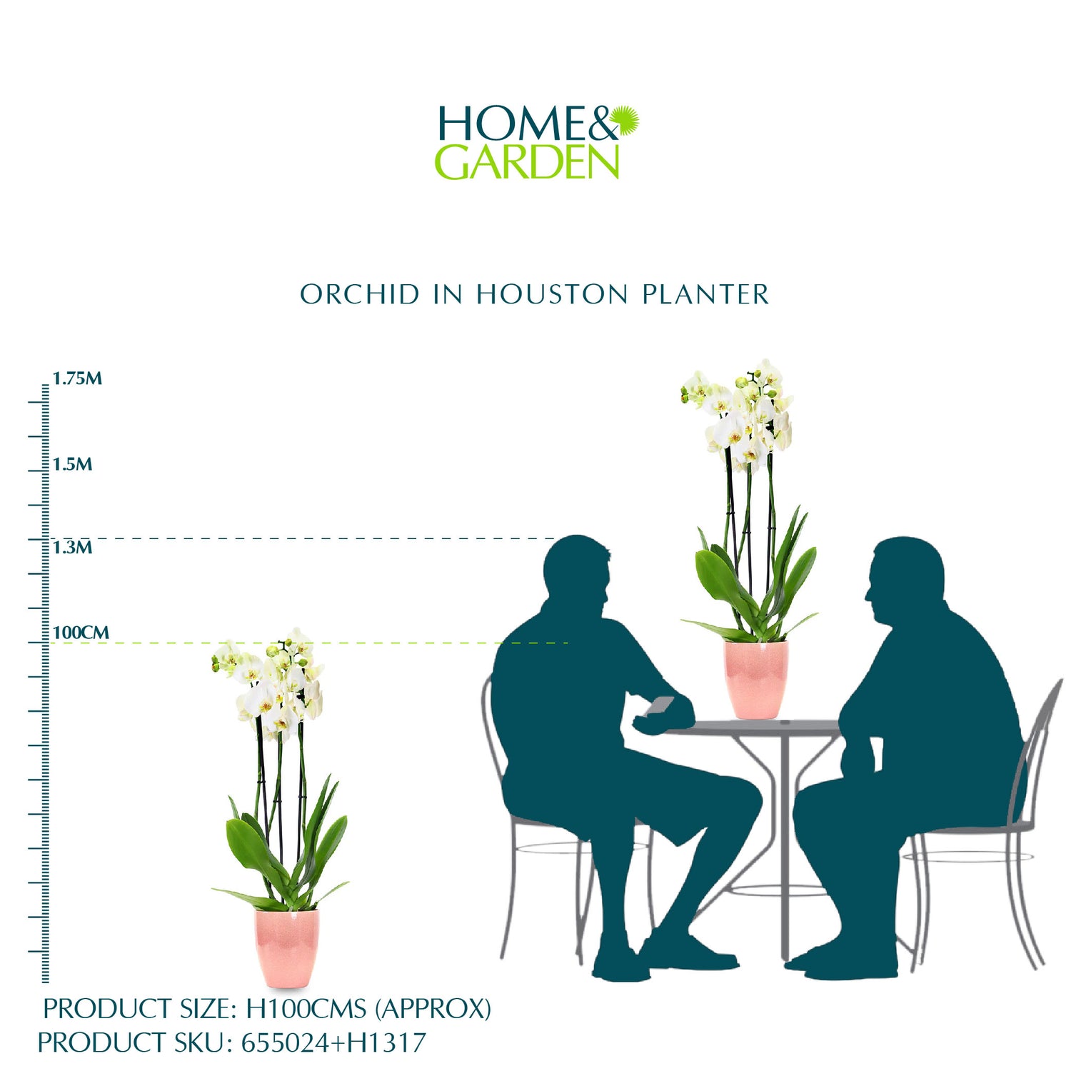 أوركيد في حوض هيوستن