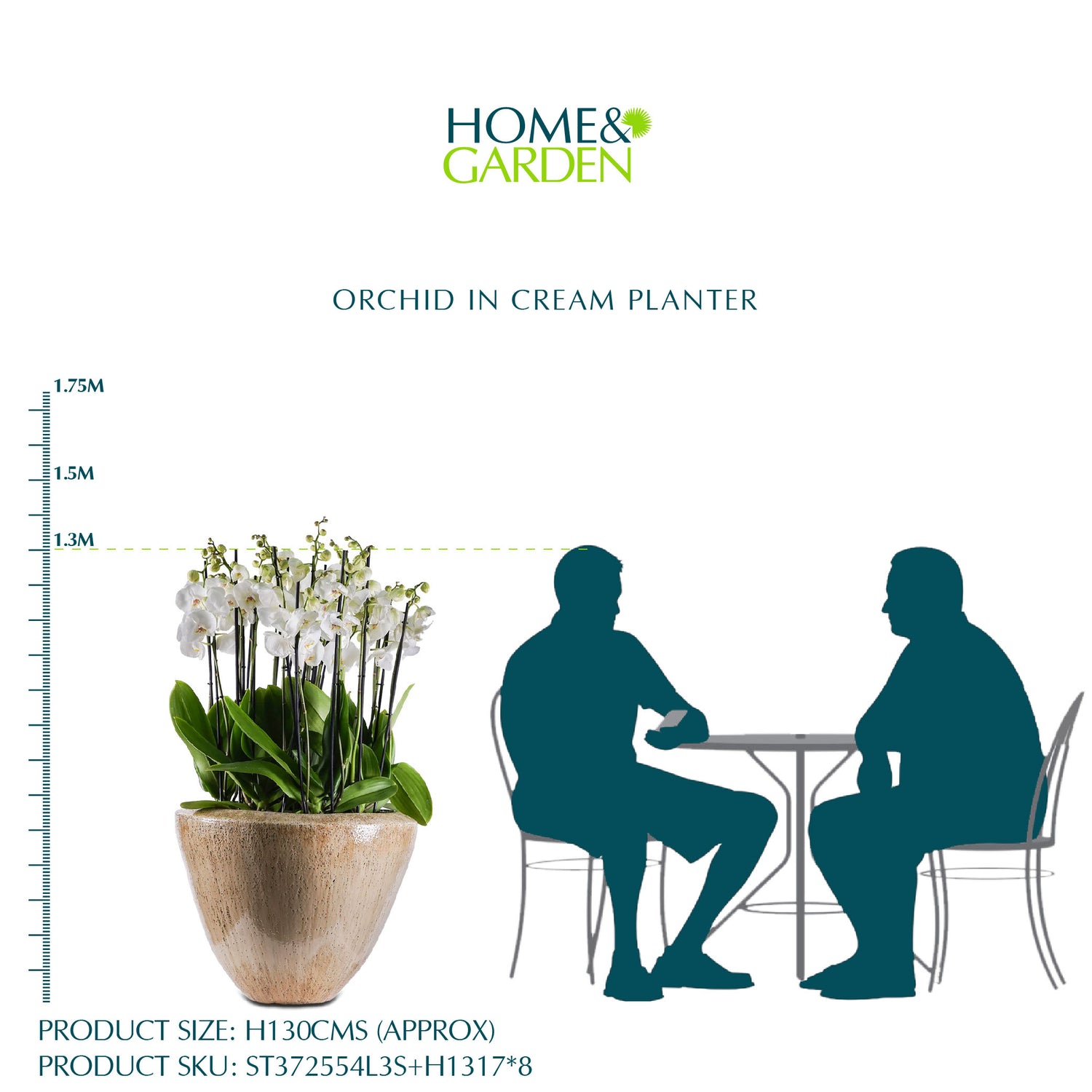 أوركيد في حوض كريمي