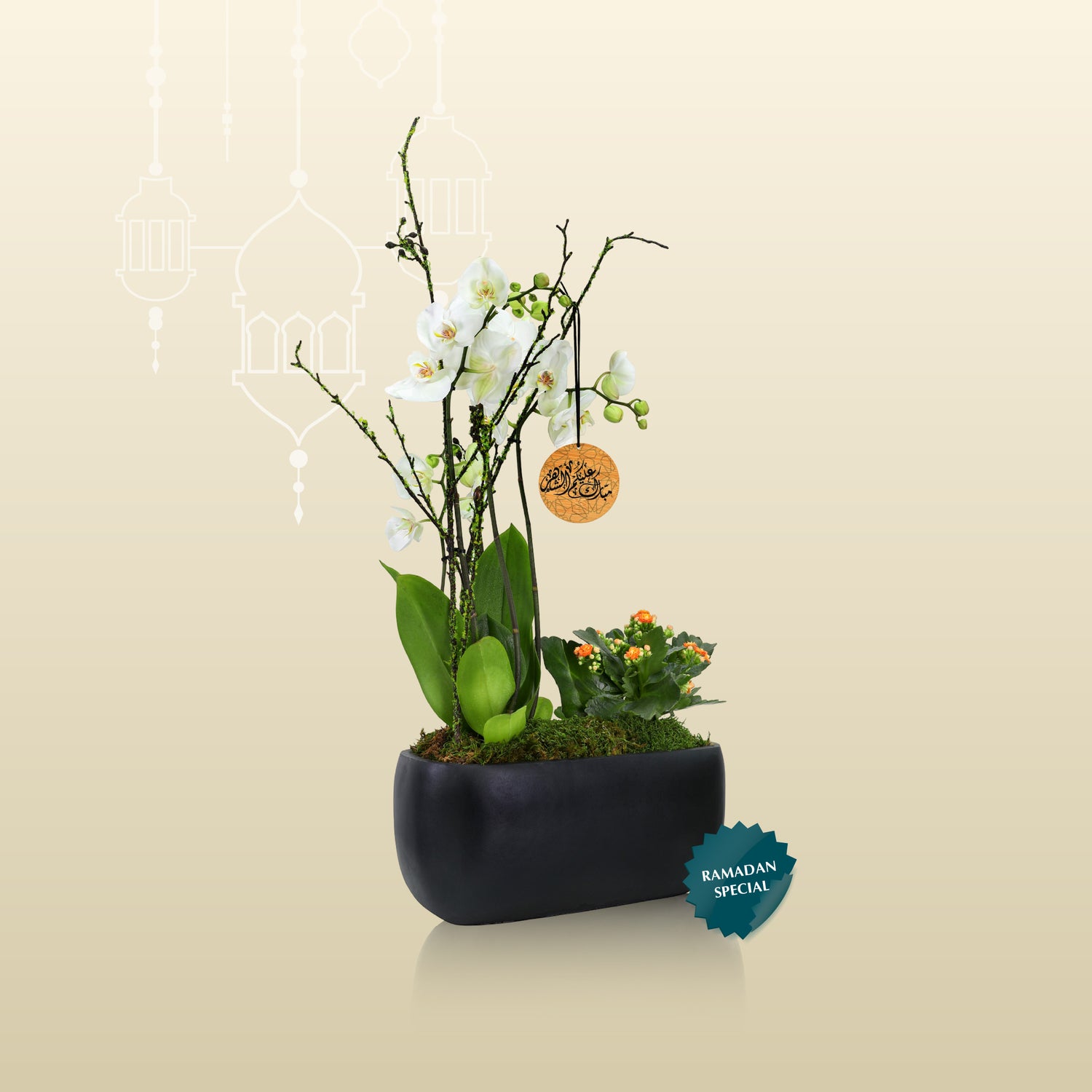 ORCHID & KALANCHOE GIFT SET